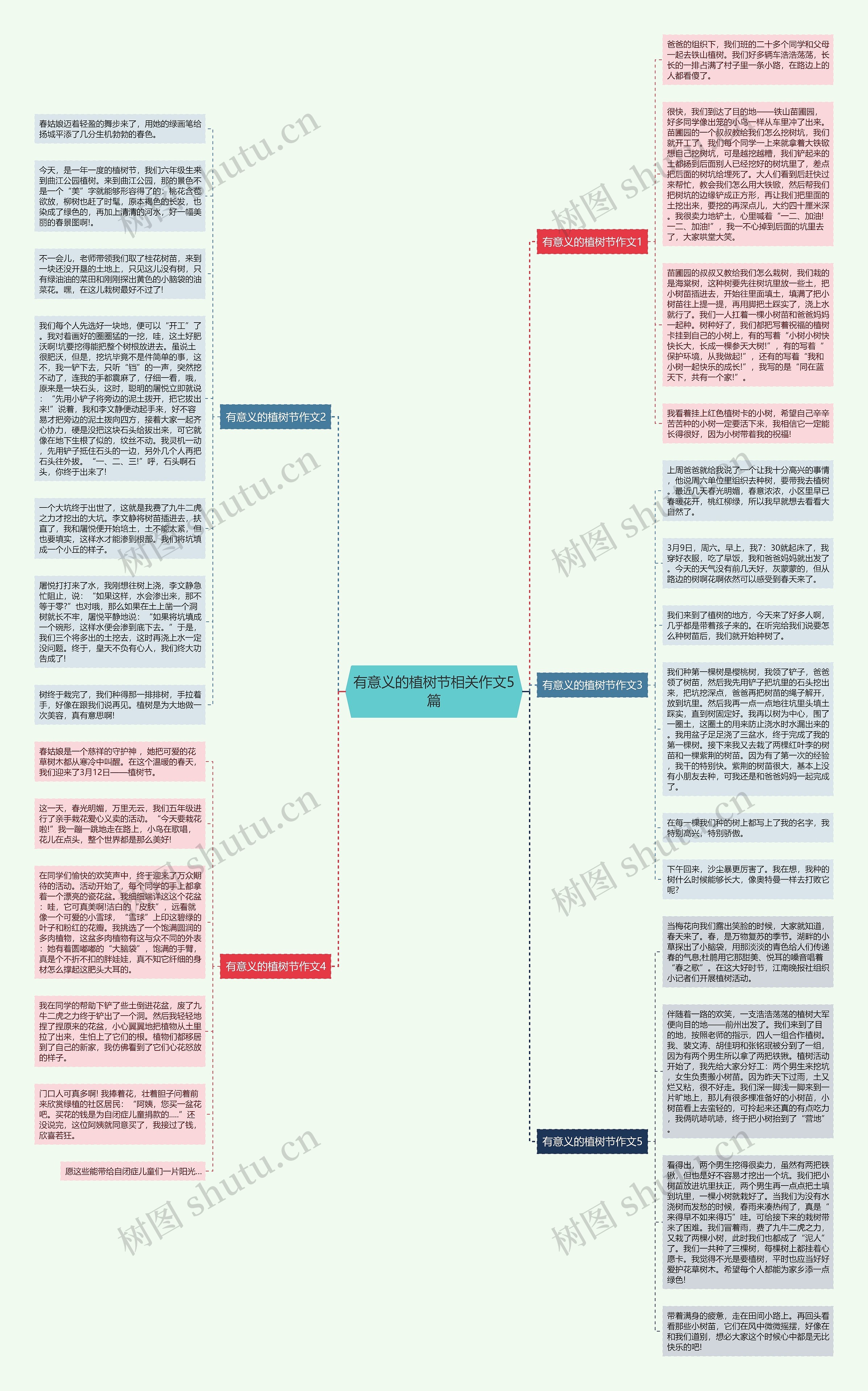 有意义的植树节相关作文5篇思维导图