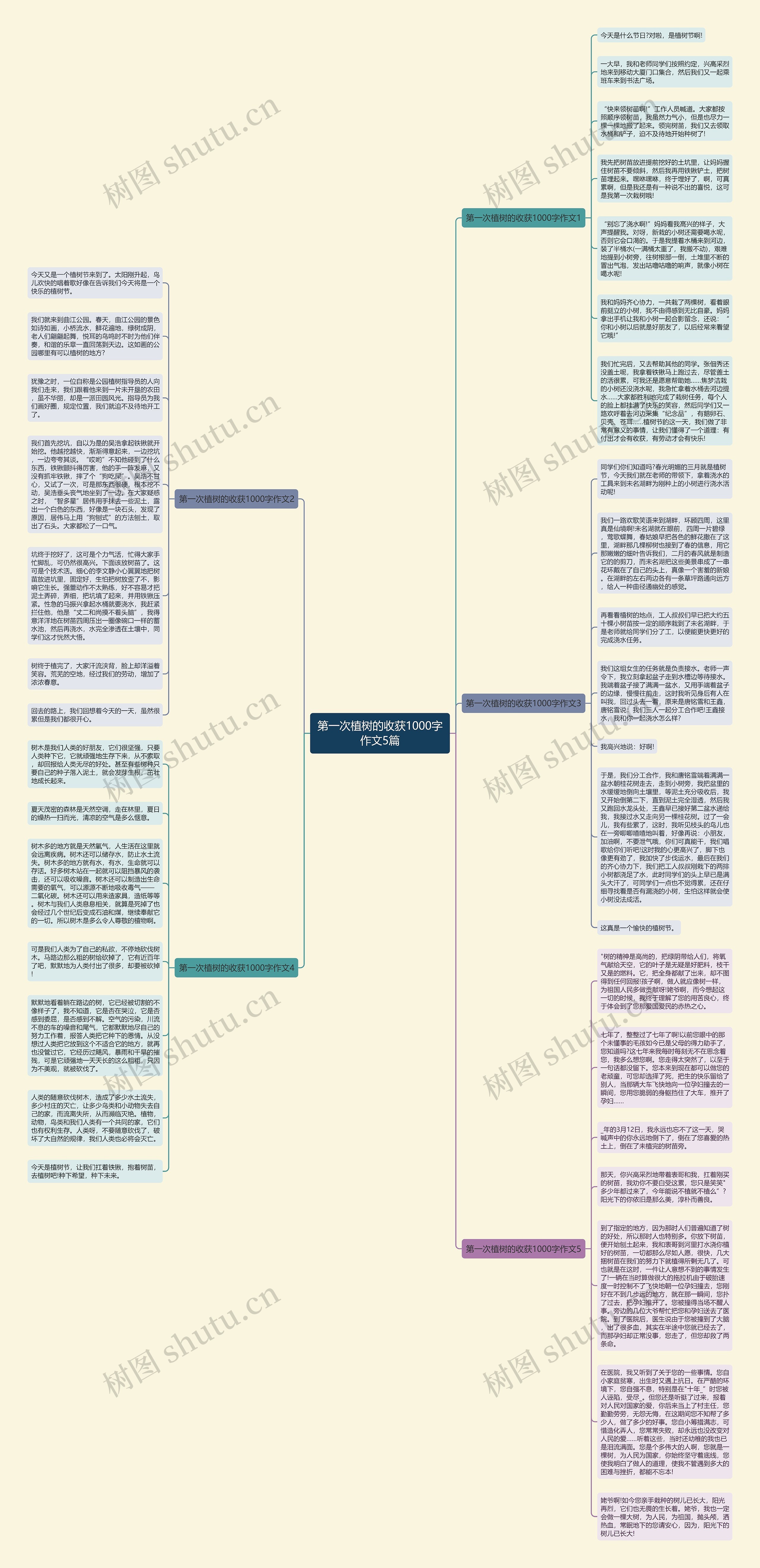 第一次植树的收获1000字作文5篇思维导图