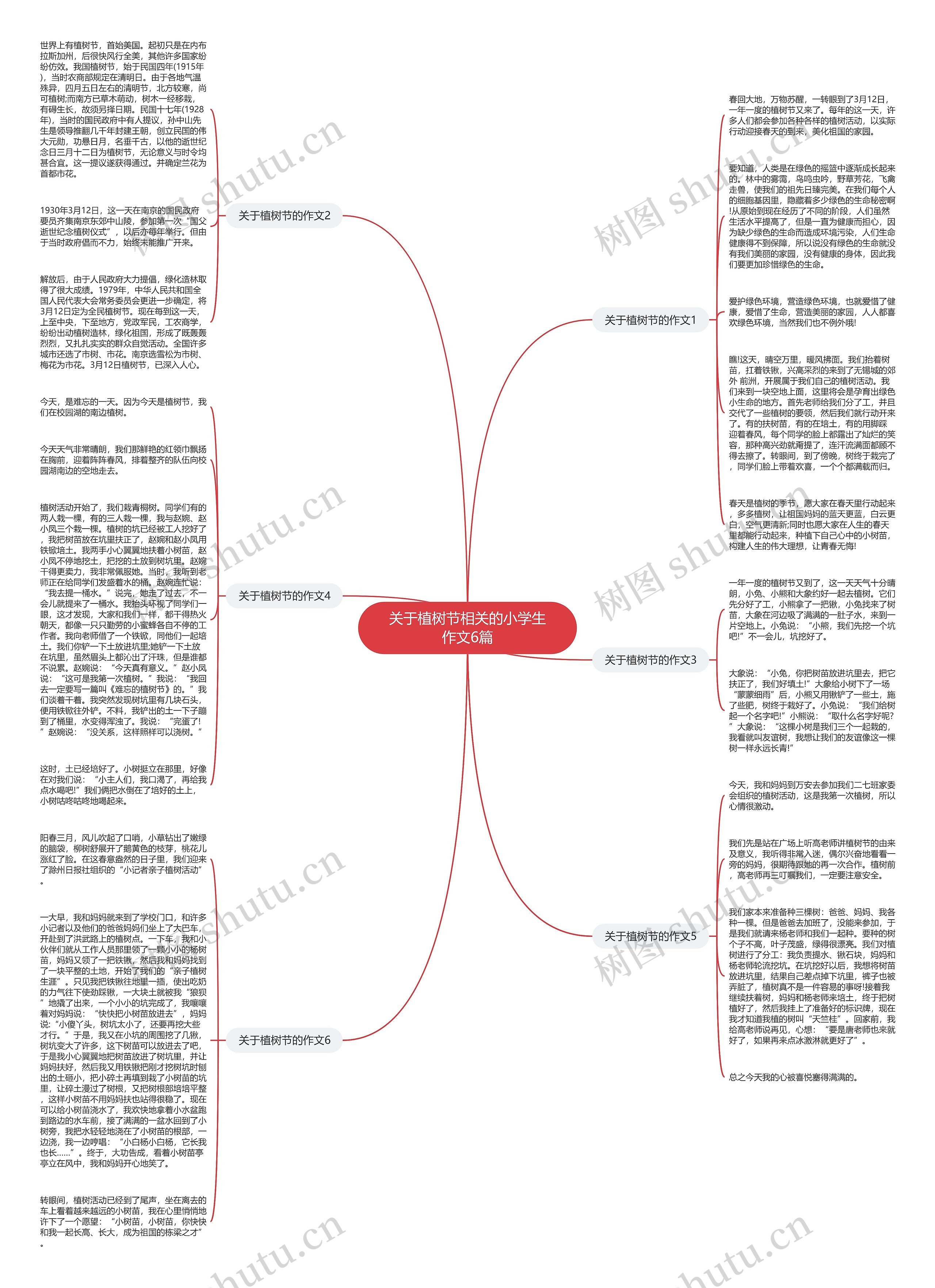 关于植树节相关的小学生作文6篇思维导图