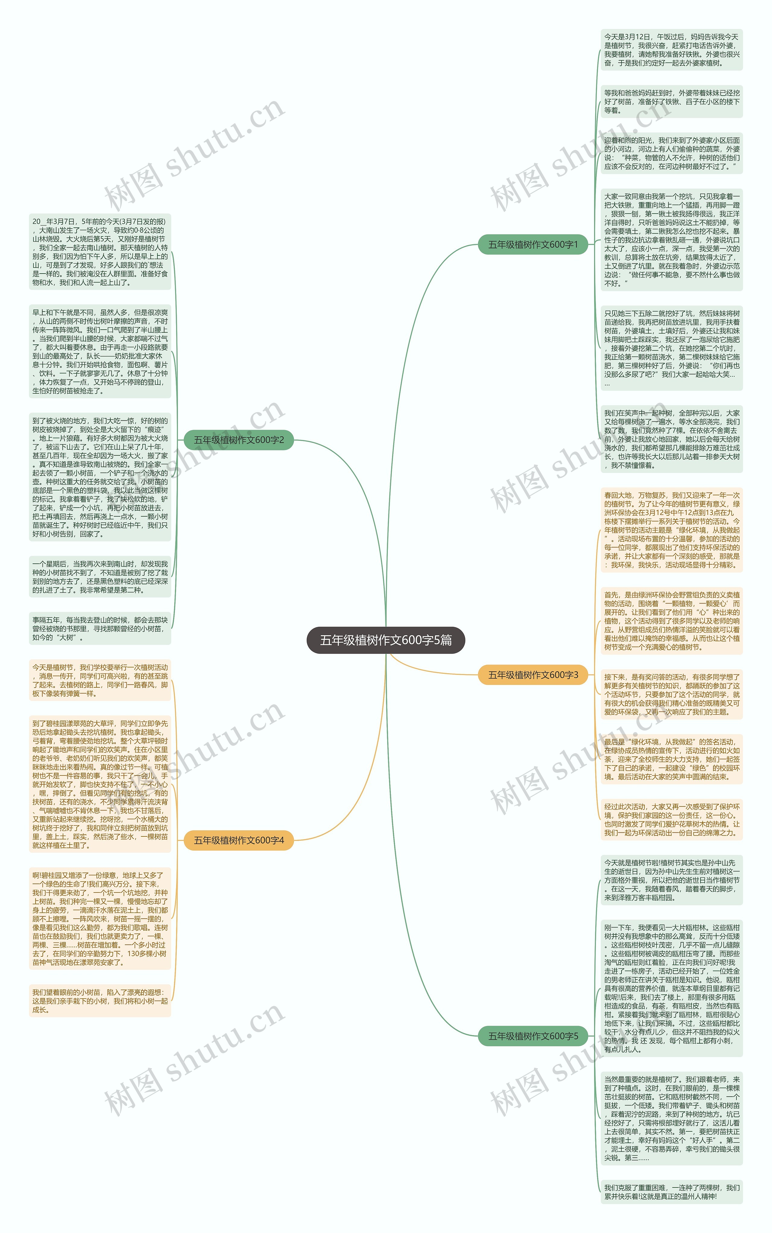 五年级植树作文600字5篇思维导图