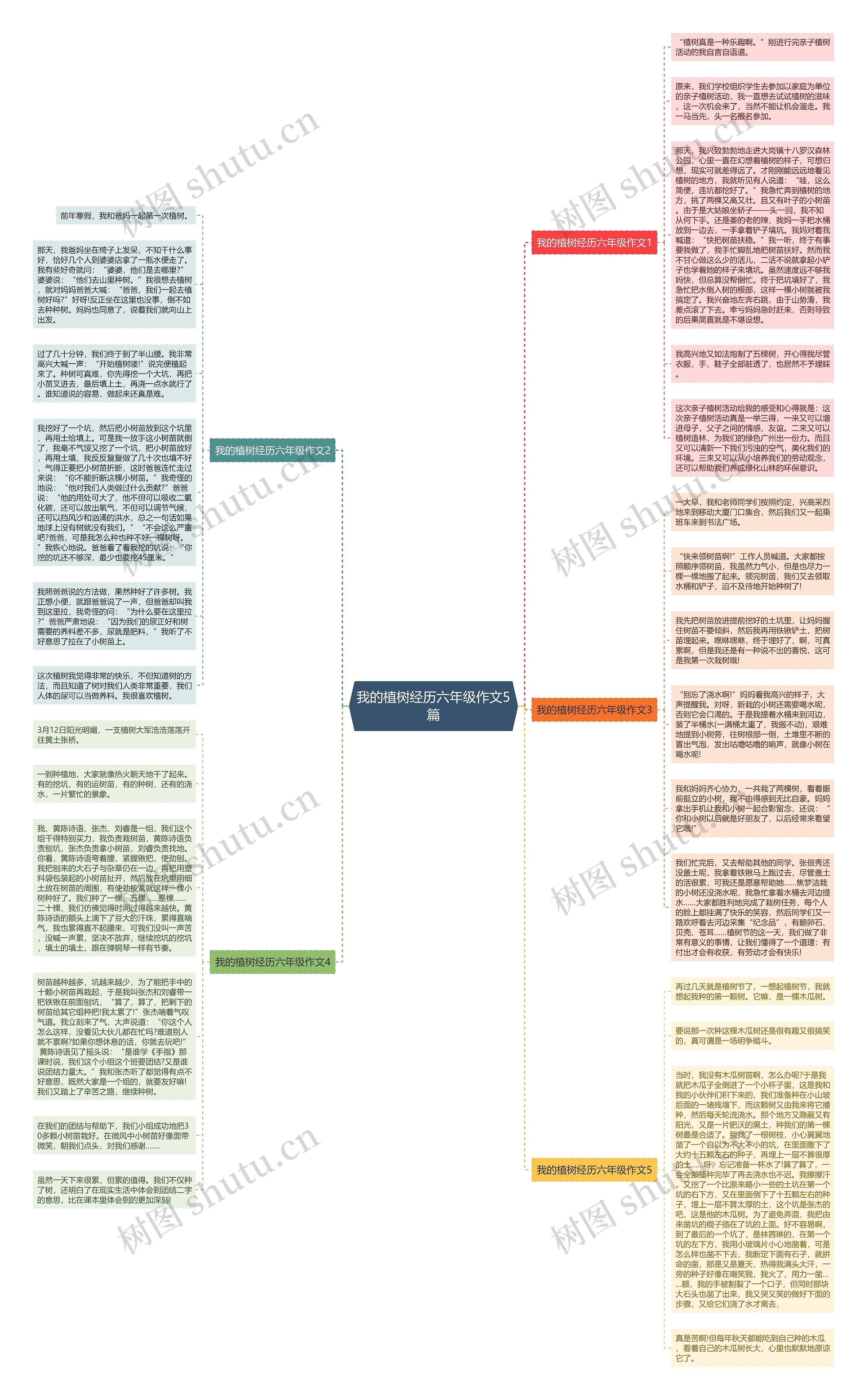 我的植树经历六年级作文5篇思维导图