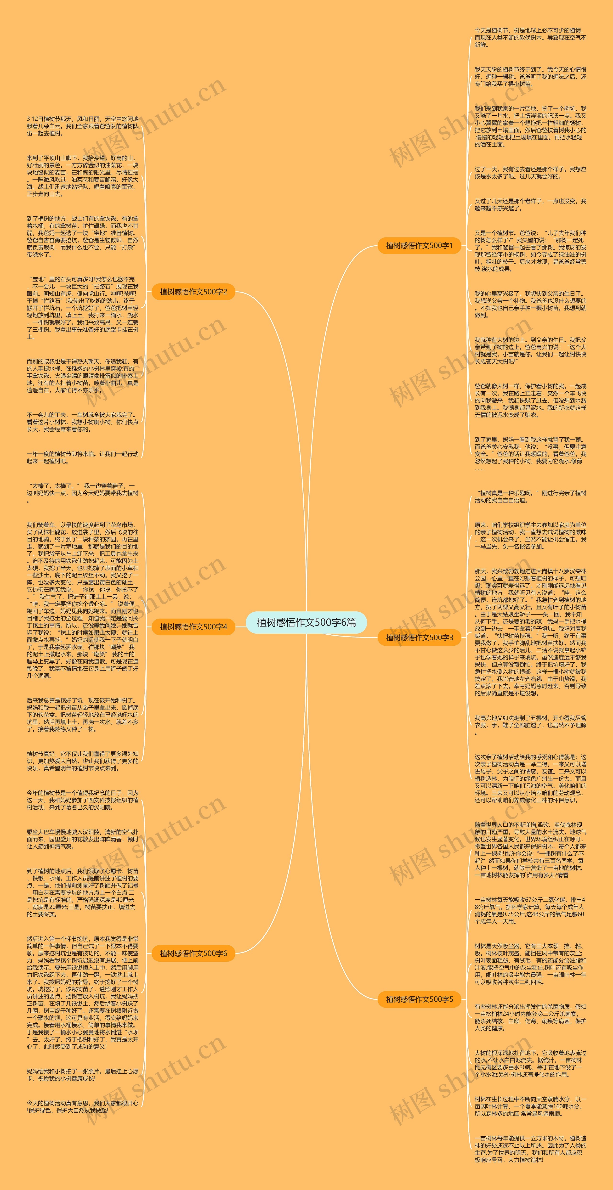 植树感悟作文500字6篇思维导图
