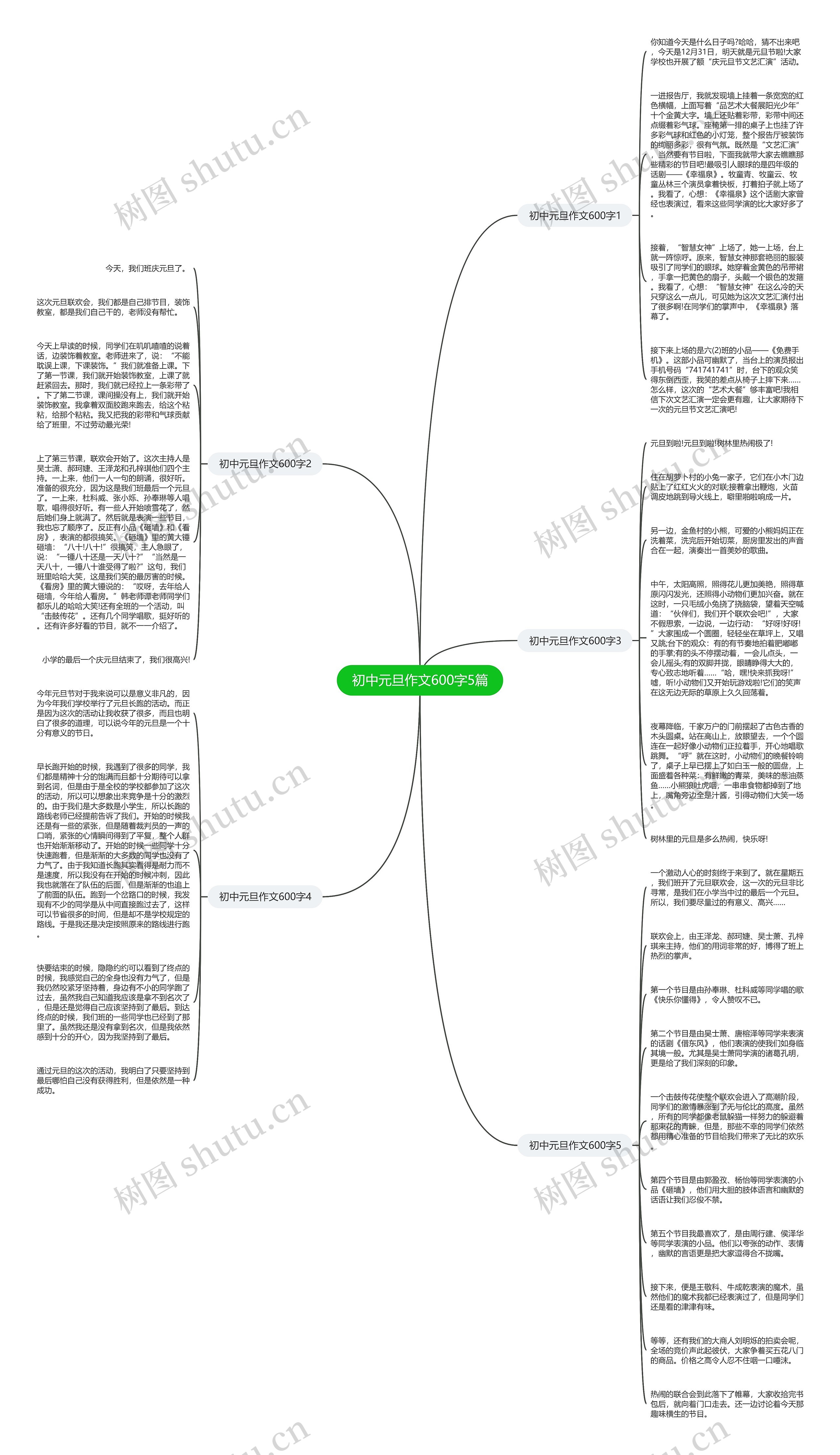 初中元旦作文600字5篇思维导图