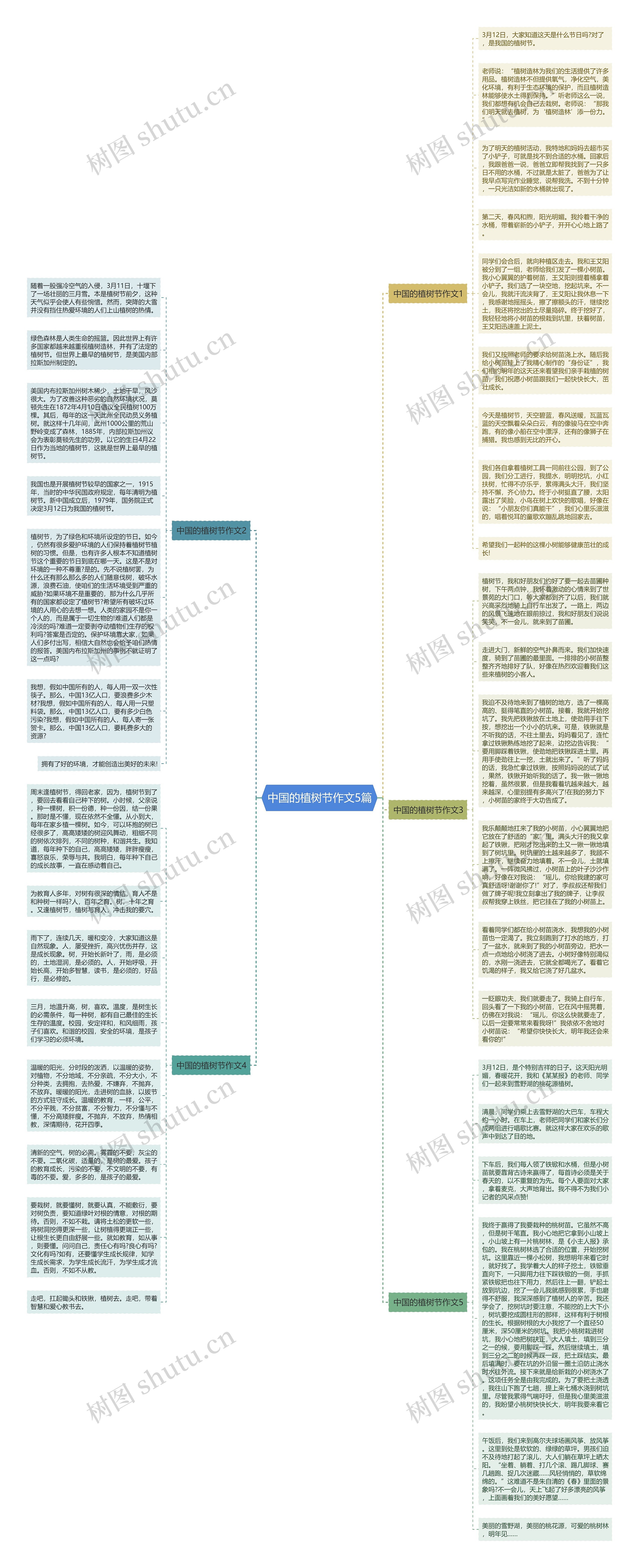 中国的植树节作文5篇思维导图