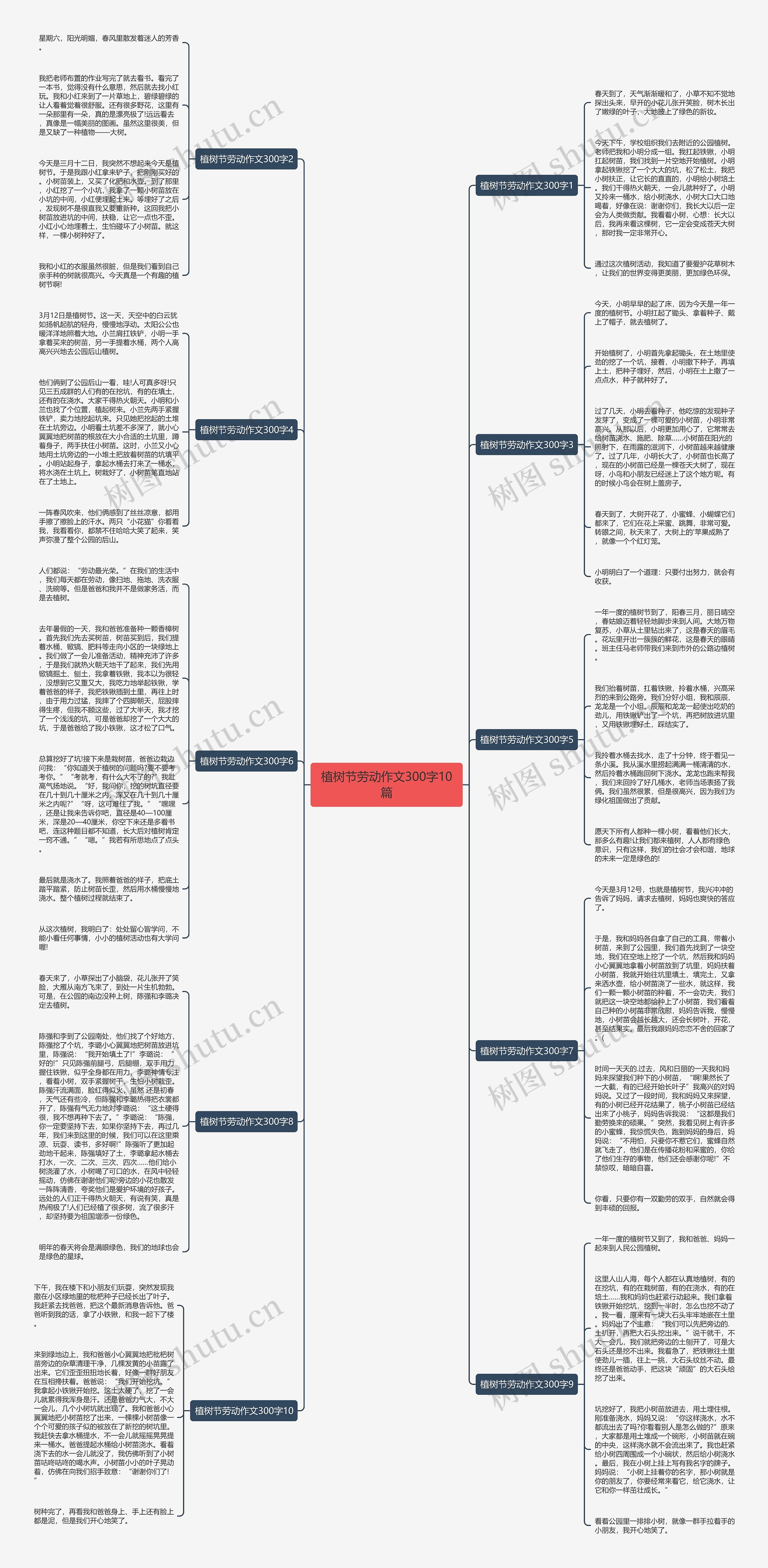 植树节劳动作文300字10篇思维导图