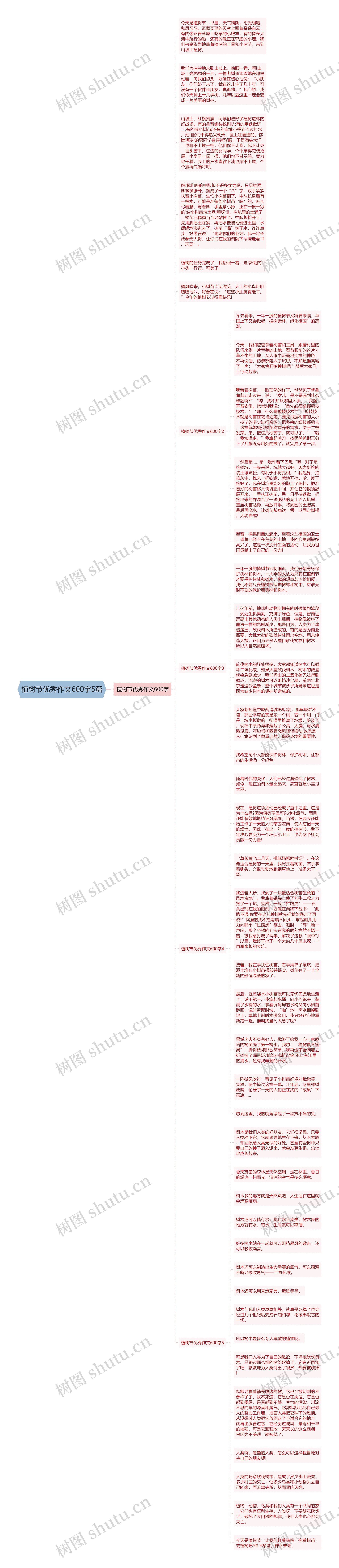 植树节优秀作文600字5篇思维导图