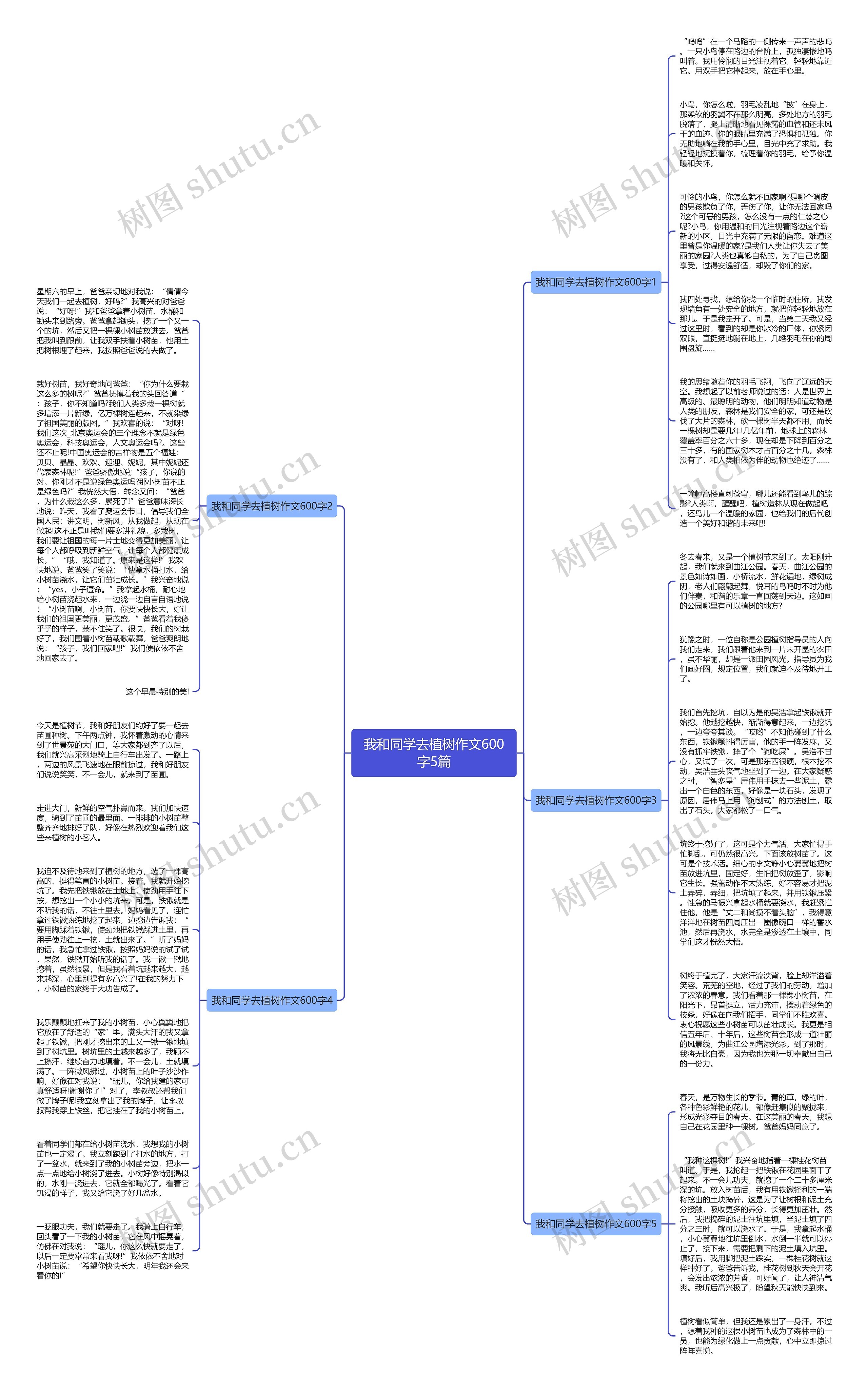 我和同学去植树作文600字5篇思维导图