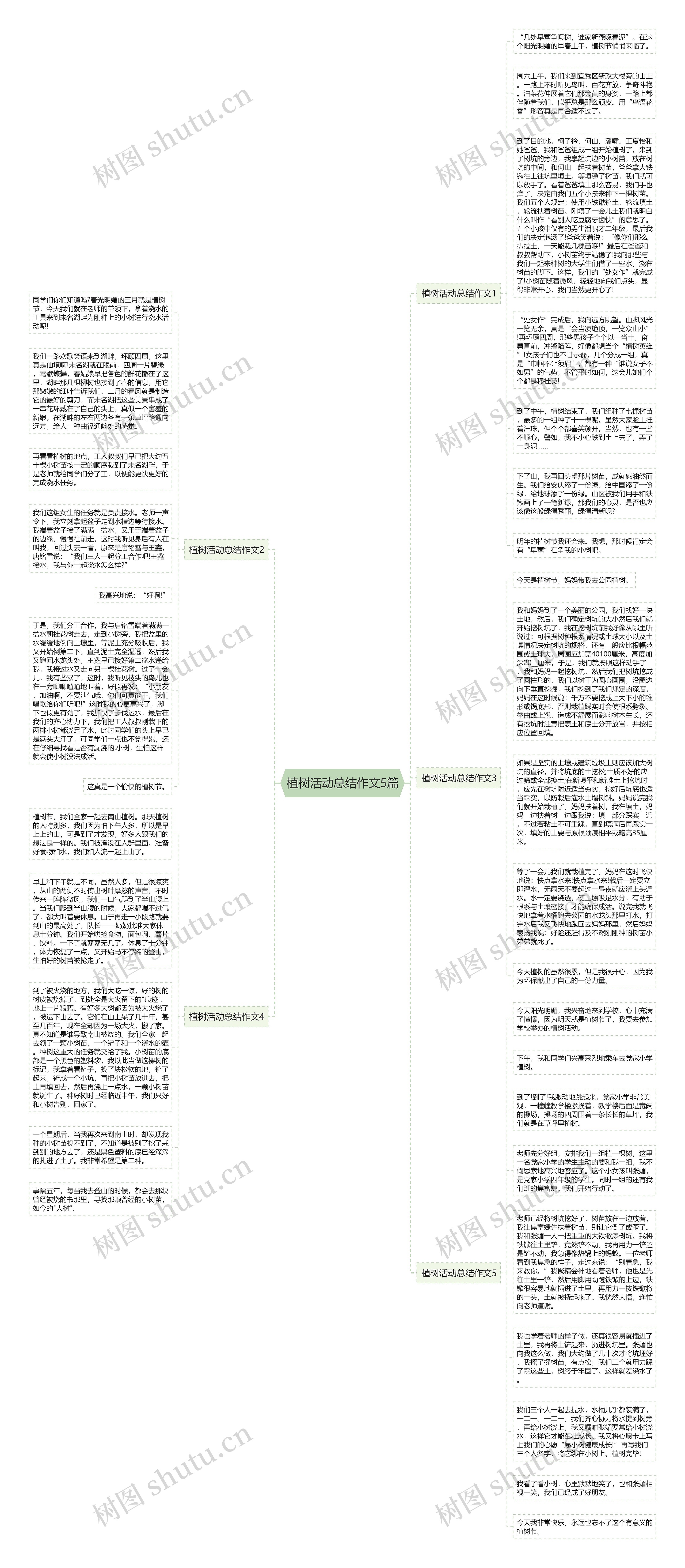 植树活动总结作文5篇思维导图