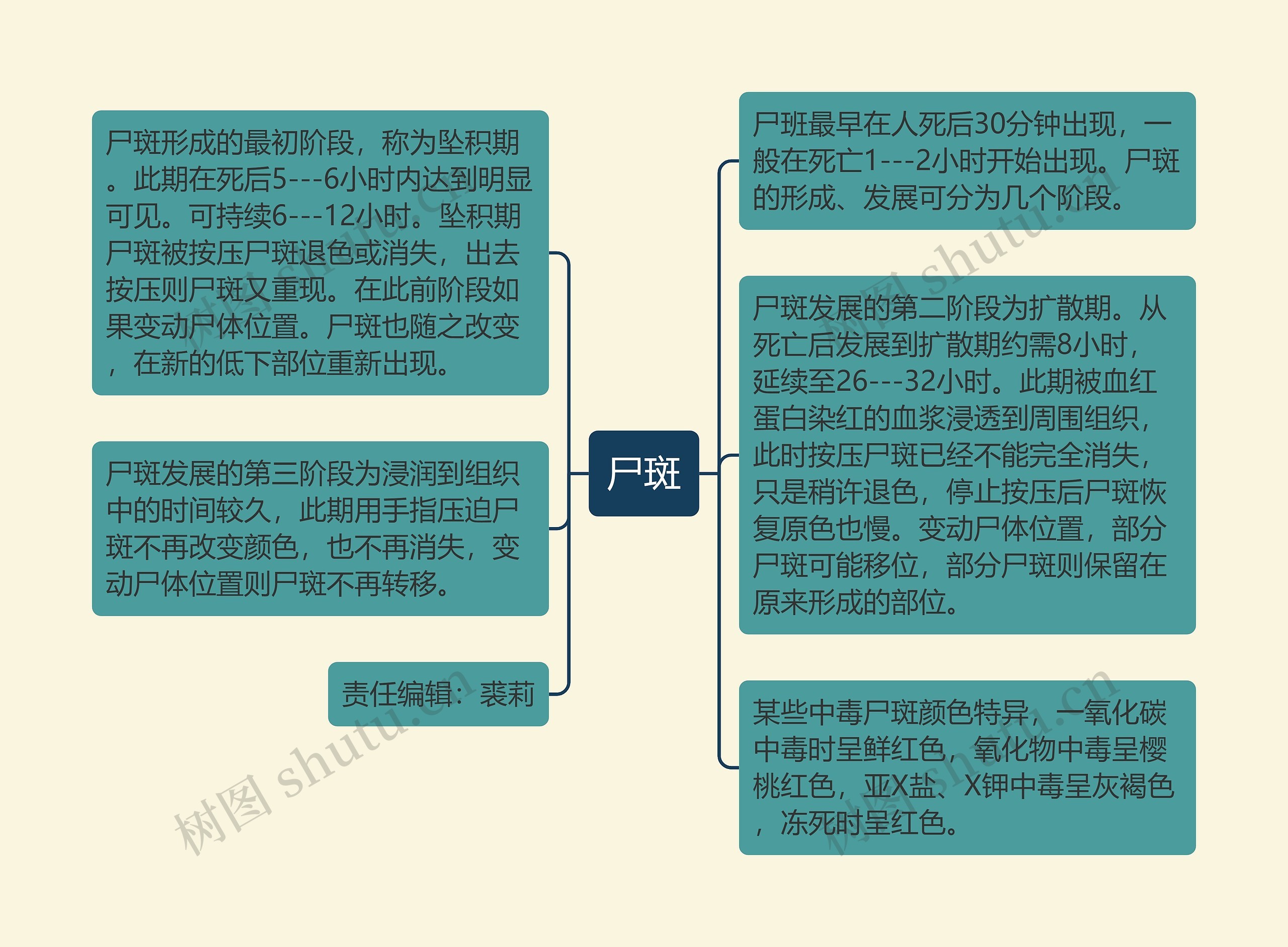 尸斑思维导图