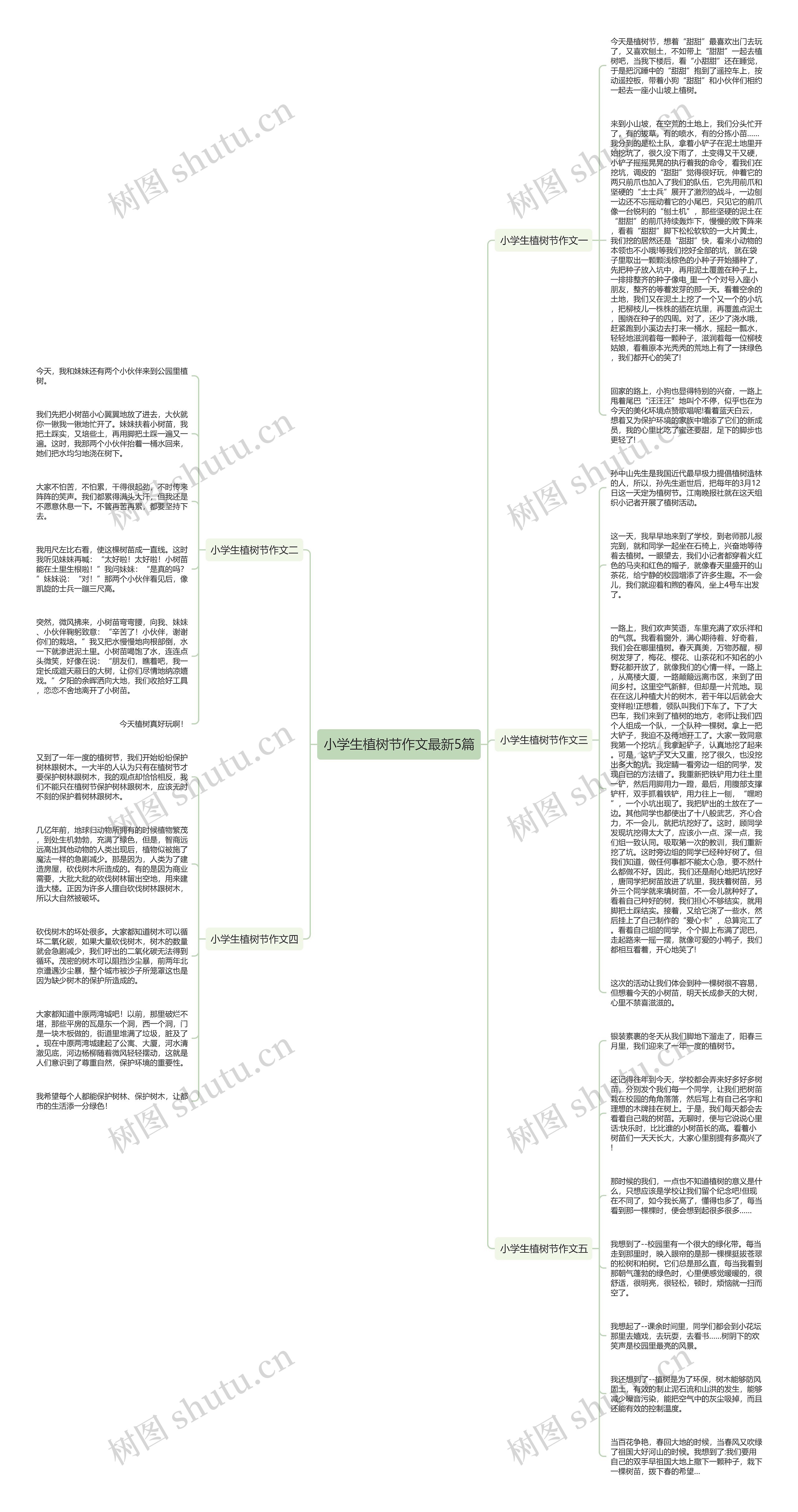 小学生植树节作文最新5篇思维导图