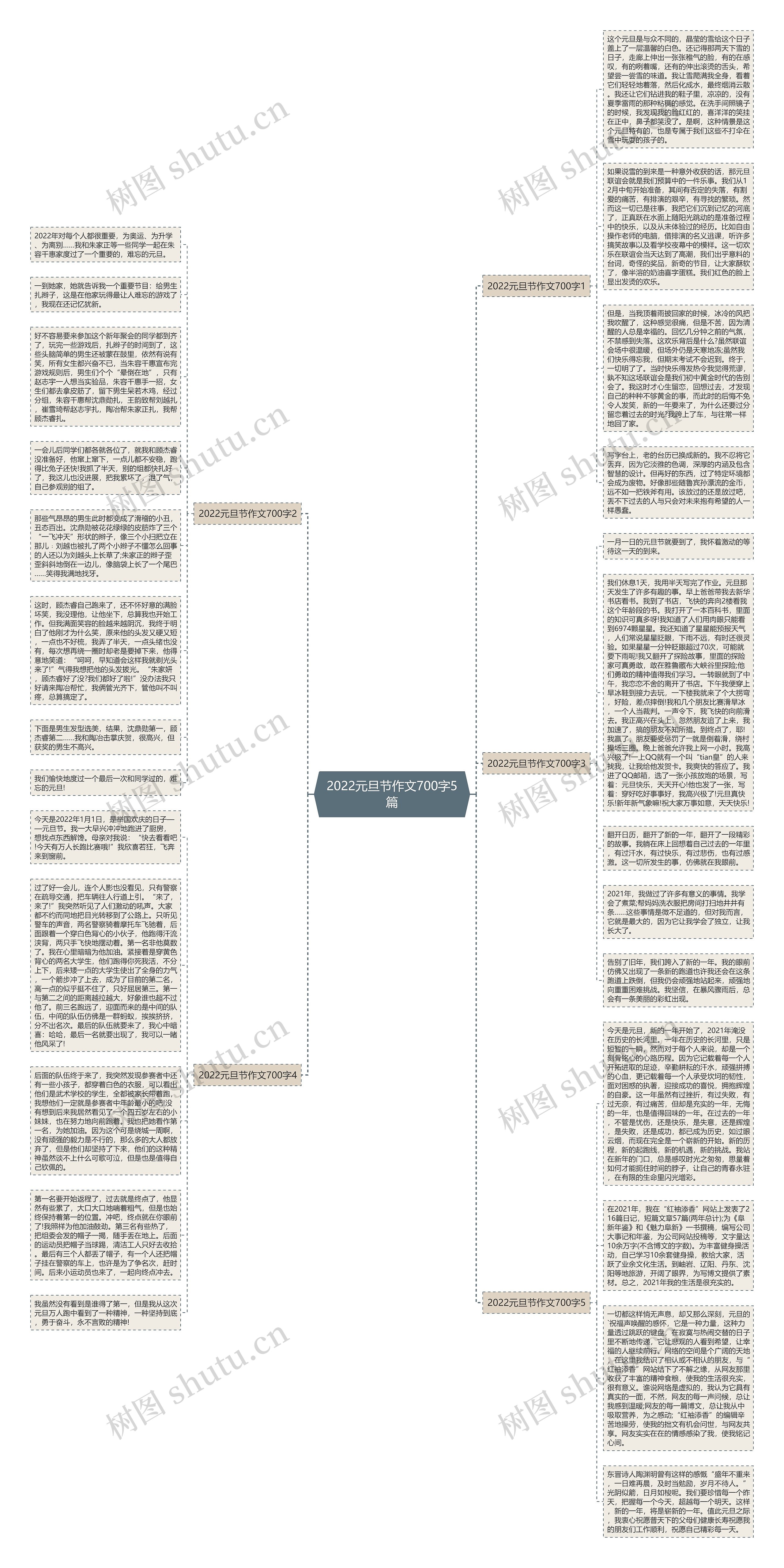 2022元旦节作文700字5篇思维导图