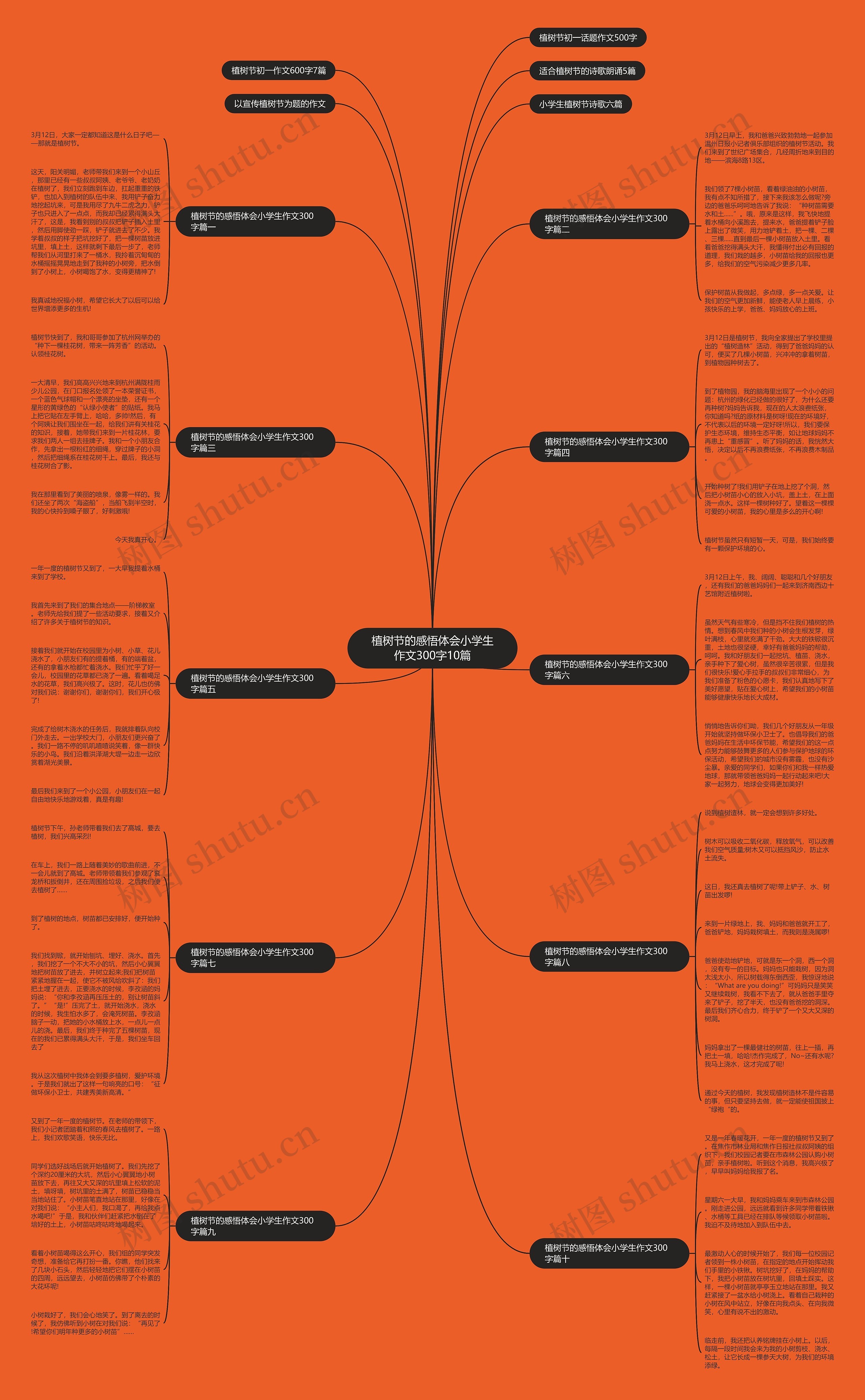 植树节的感悟体会小学生作文300字10篇思维导图