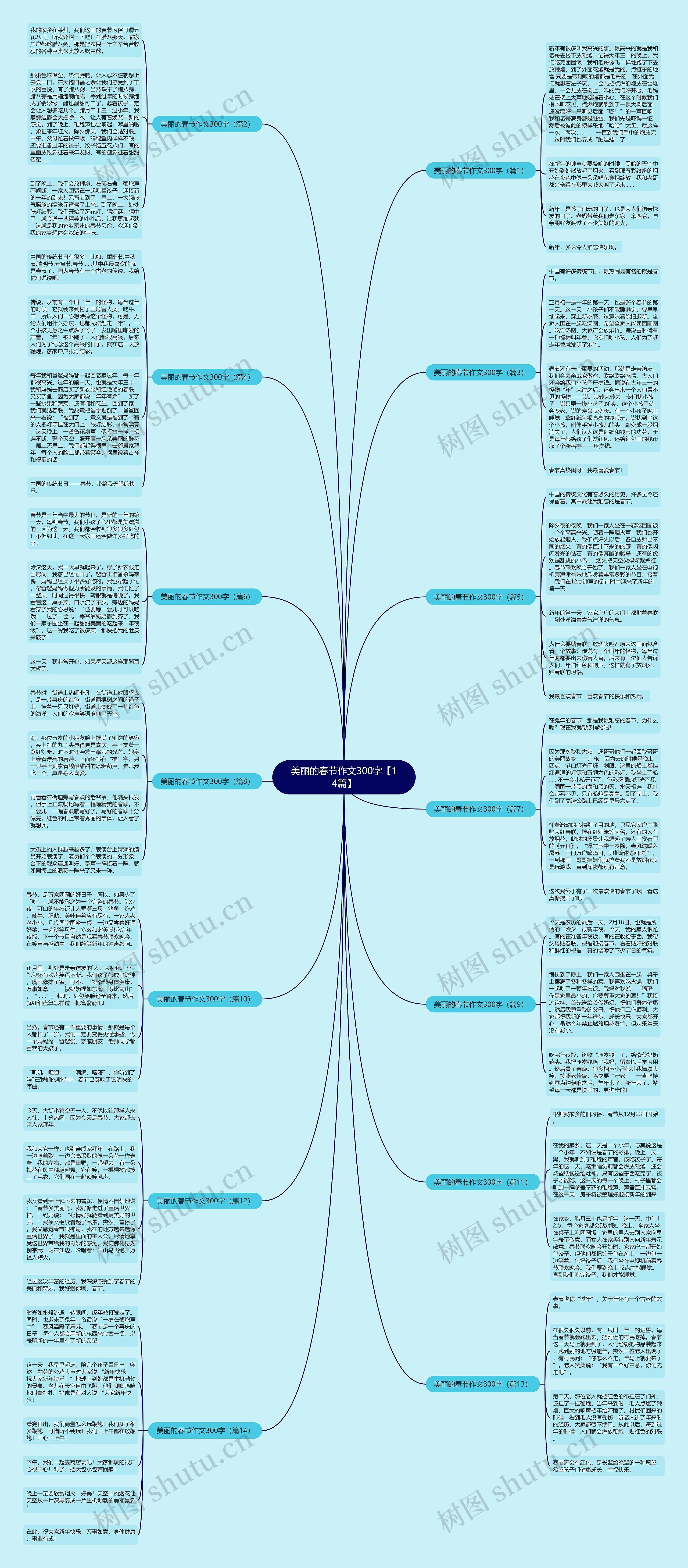 美丽的春节作文300字【14篇】思维导图
