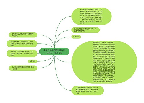 中华人民共和国刑事诉讼法释义：第213条