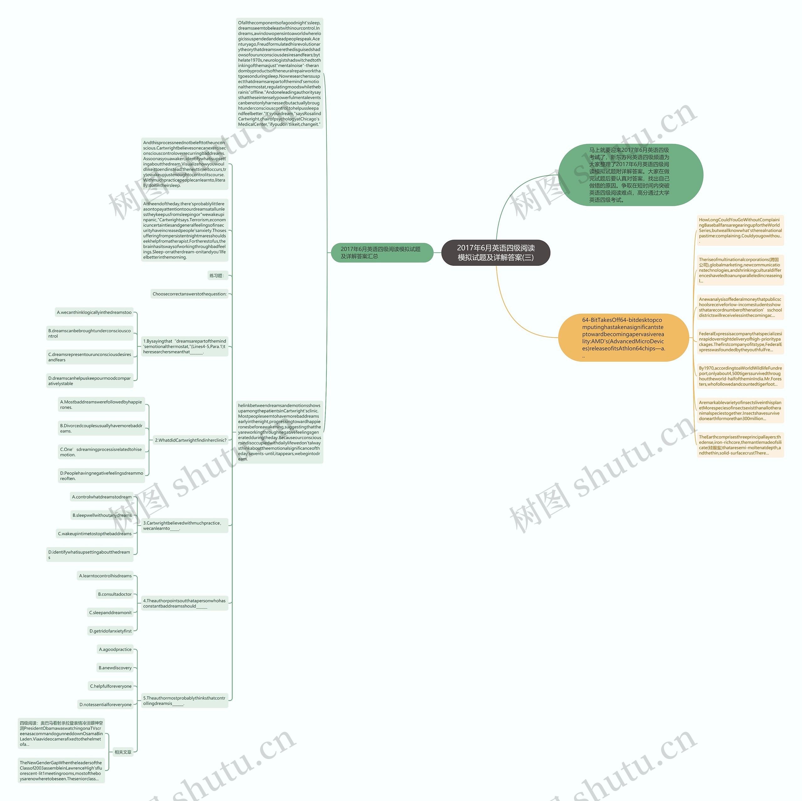 2017年6月英语四级阅读模拟试题及详解答案(三)思维导图