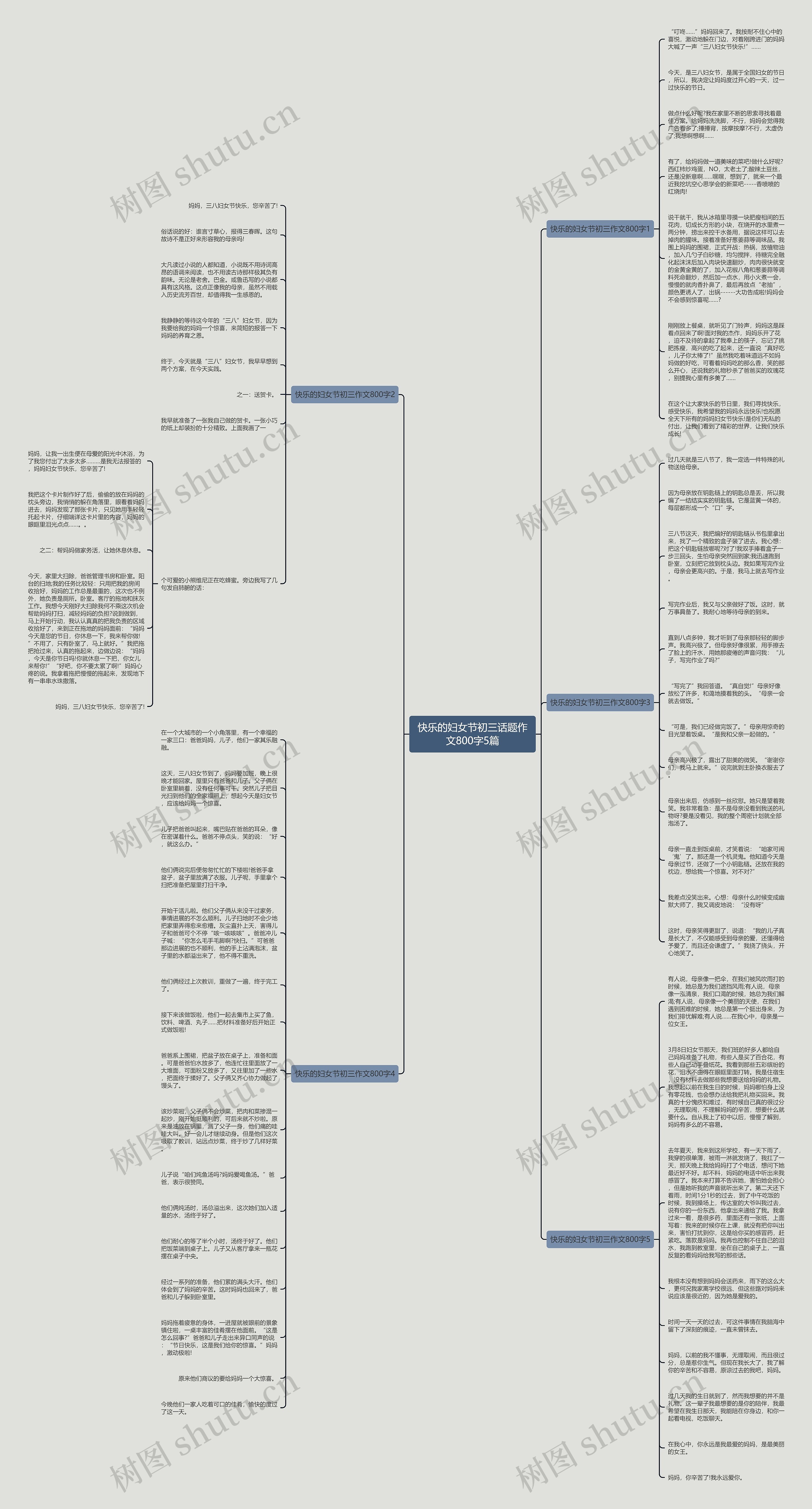 快乐的妇女节初三话题作文800字5篇思维导图