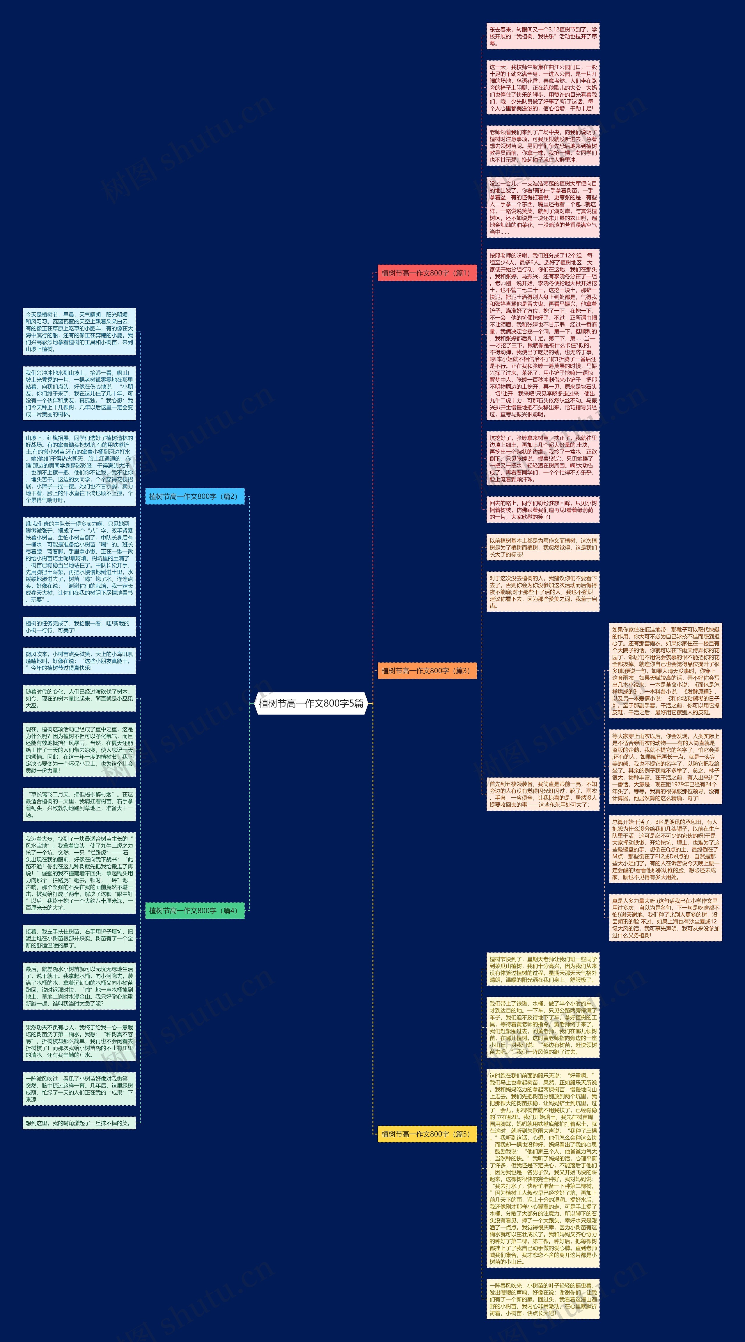 植树节高一作文800字5篇思维导图