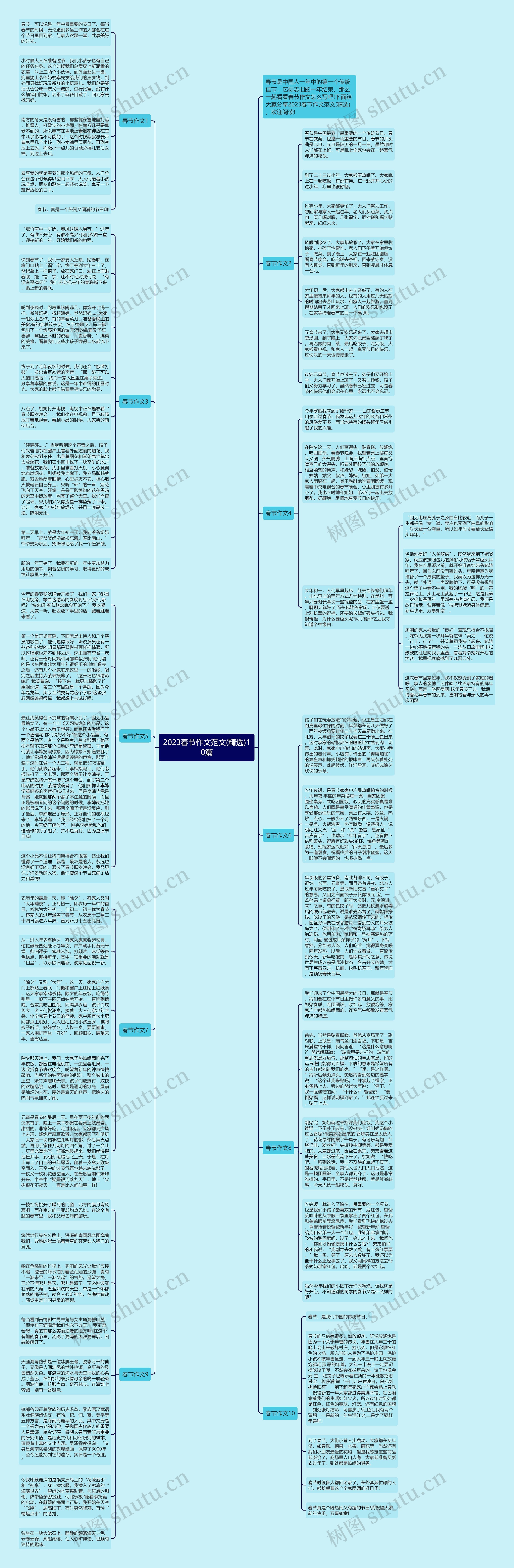 2023春节作文范文(精选)10篇思维导图