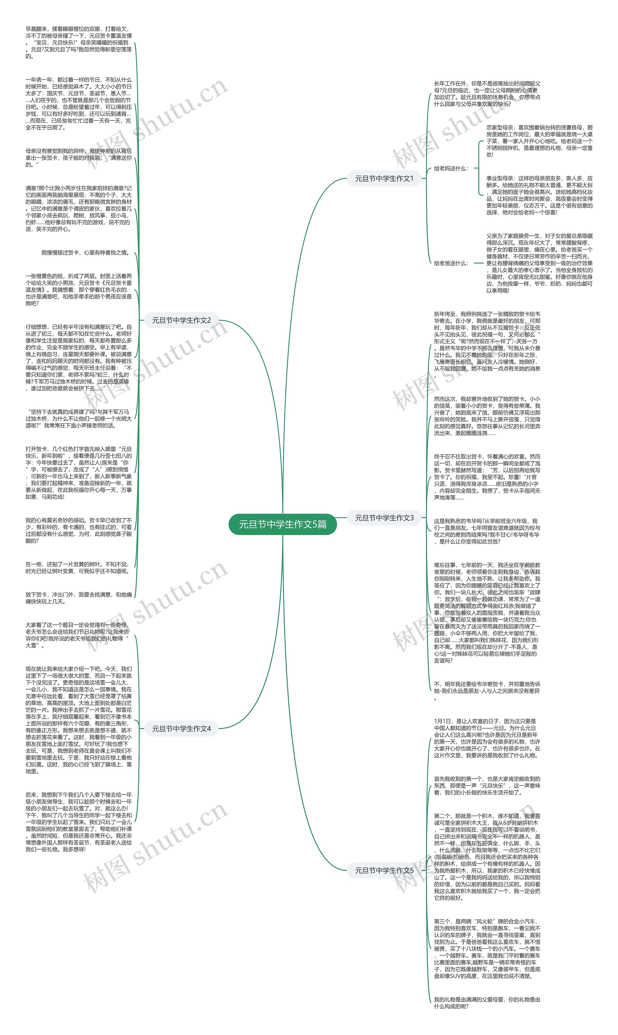 元旦节中学生作文5篇思维导图