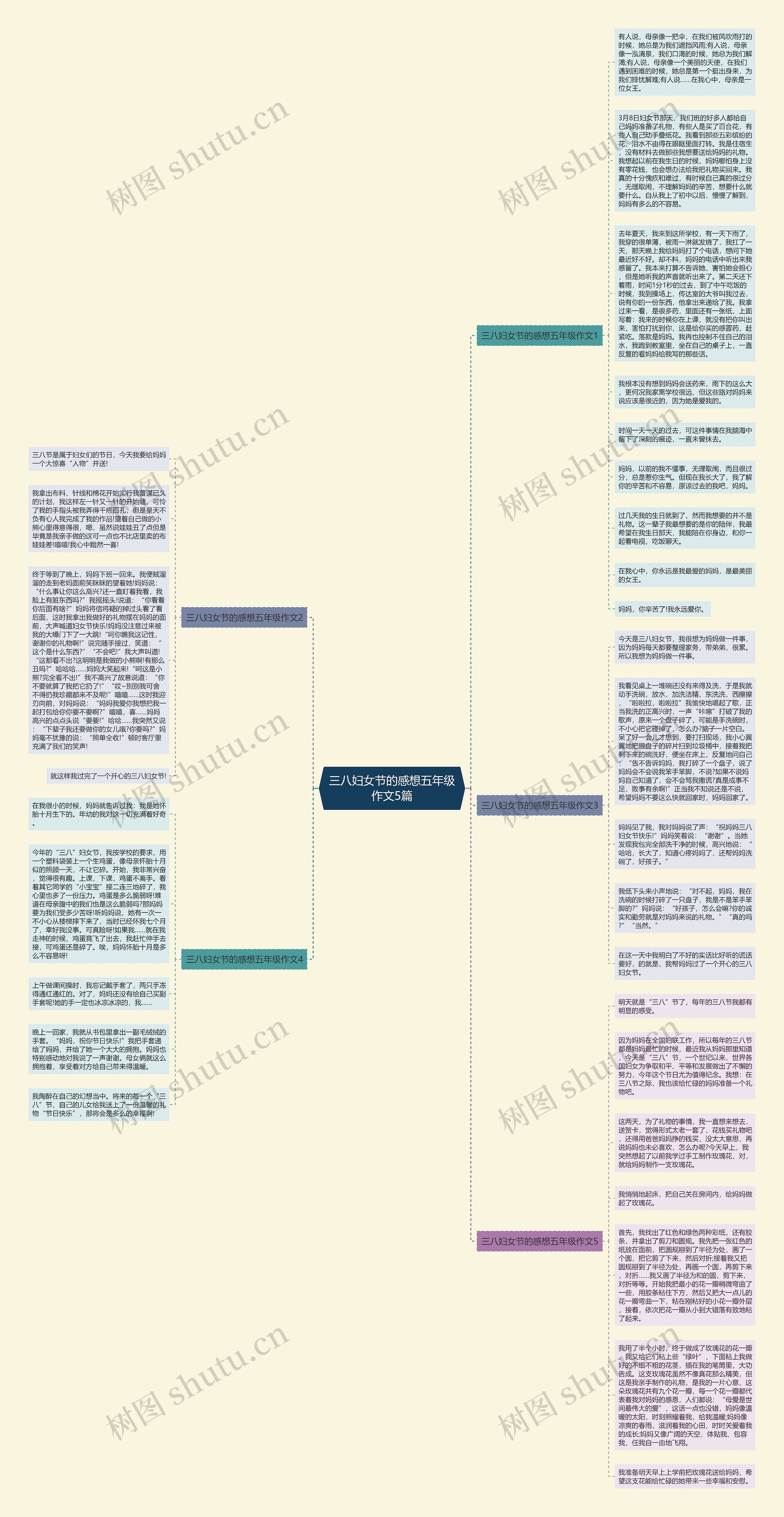 三八妇女节的感想五年级作文5篇思维导图