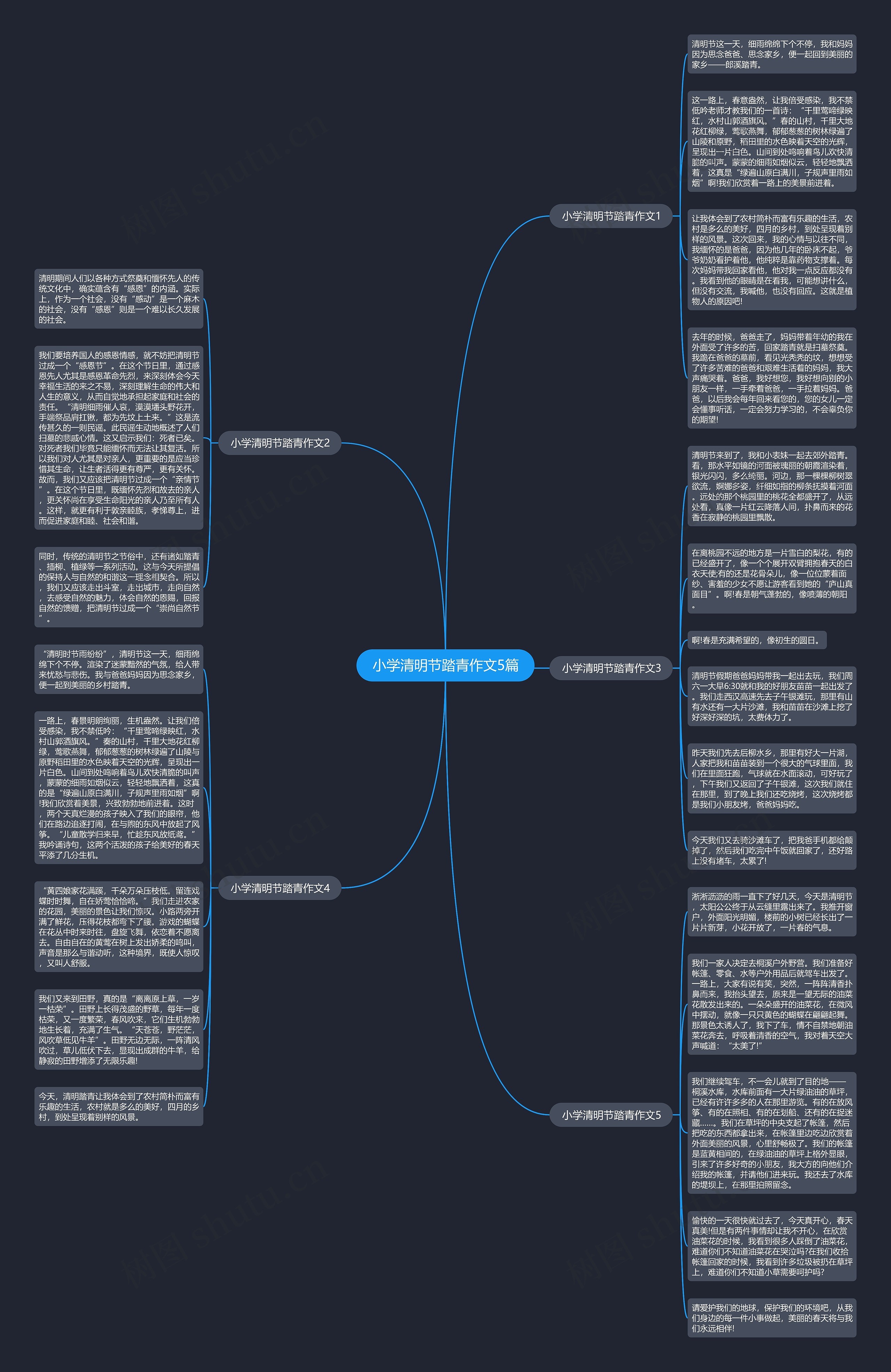 小学清明节踏青作文5篇思维导图