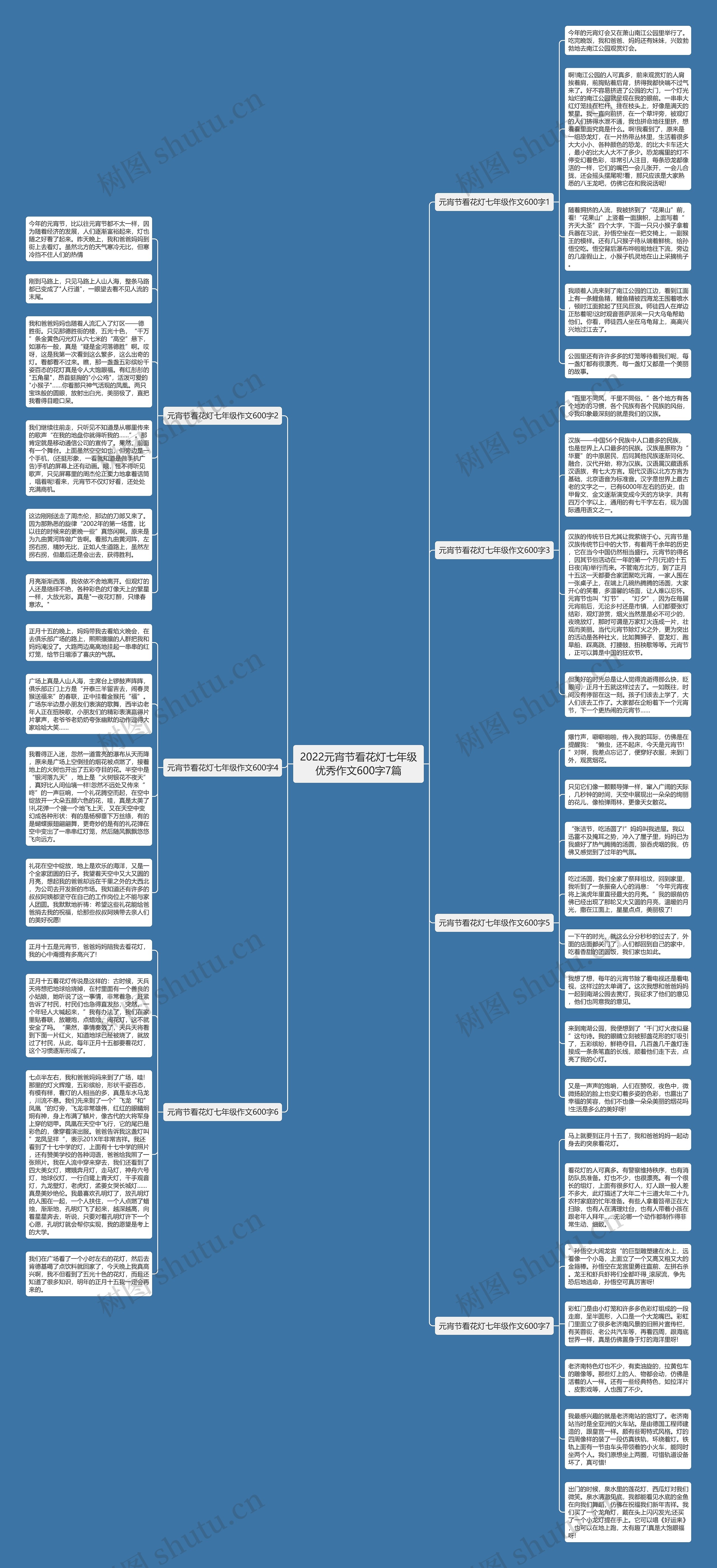 2022元宵节看花灯七年级优秀作文600字7篇