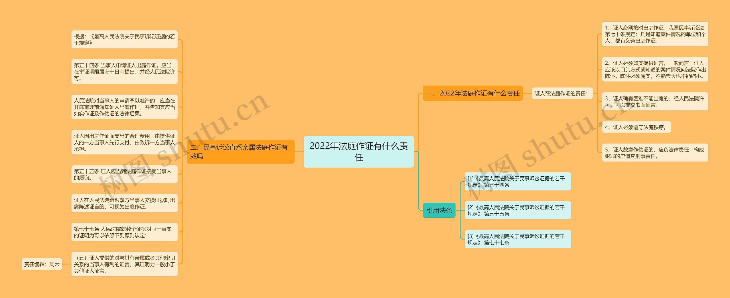 2022年法庭作证有什么责任
