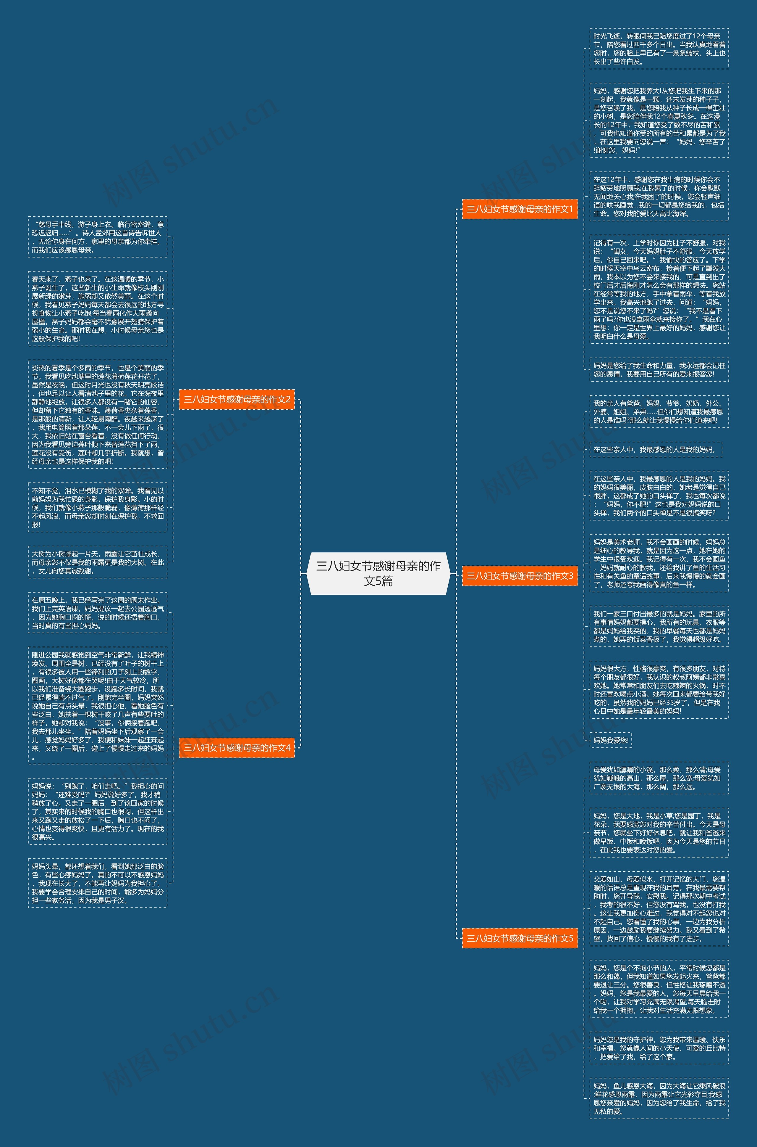 三八妇女节感谢母亲的作文5篇思维导图