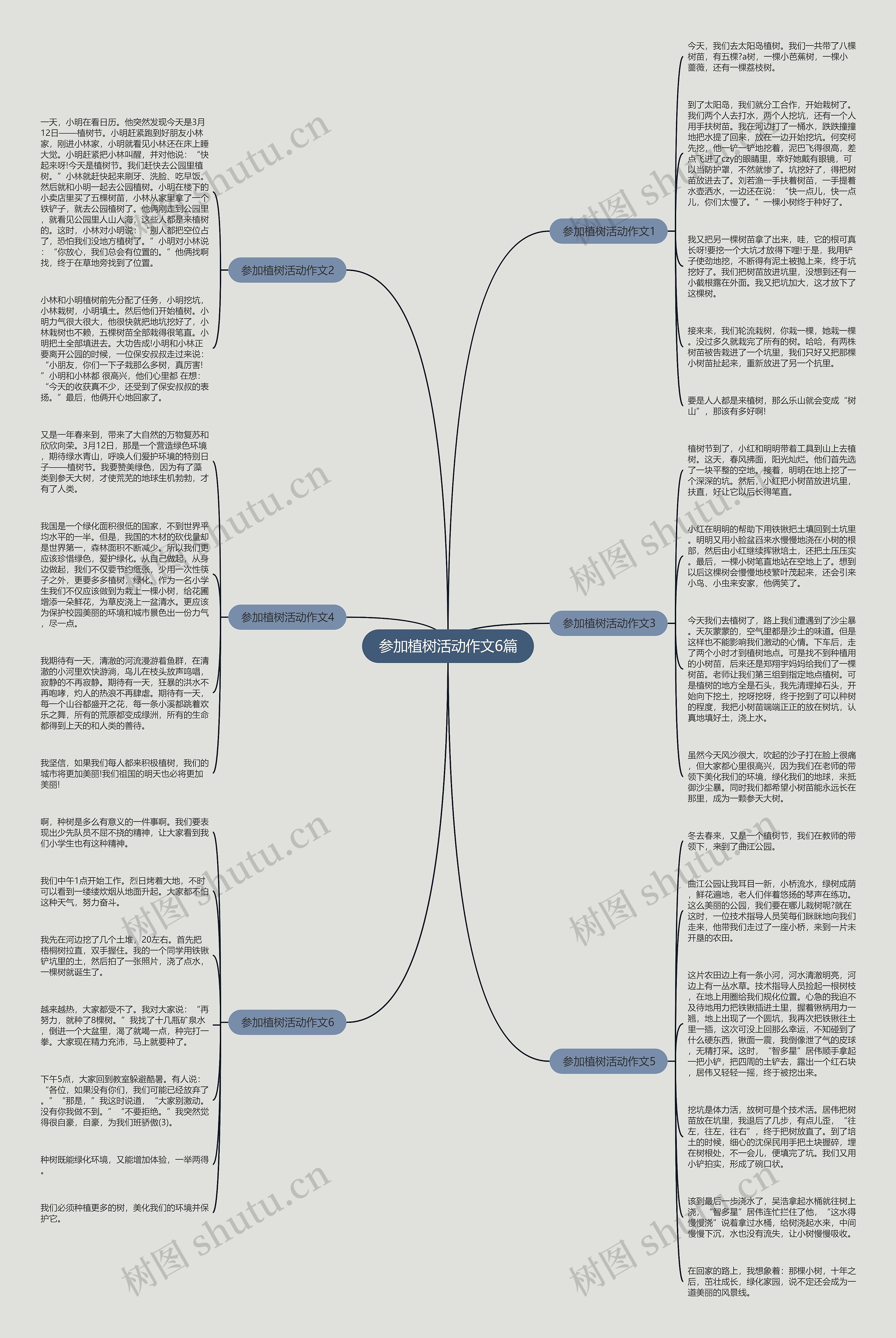 参加植树活动作文6篇思维导图