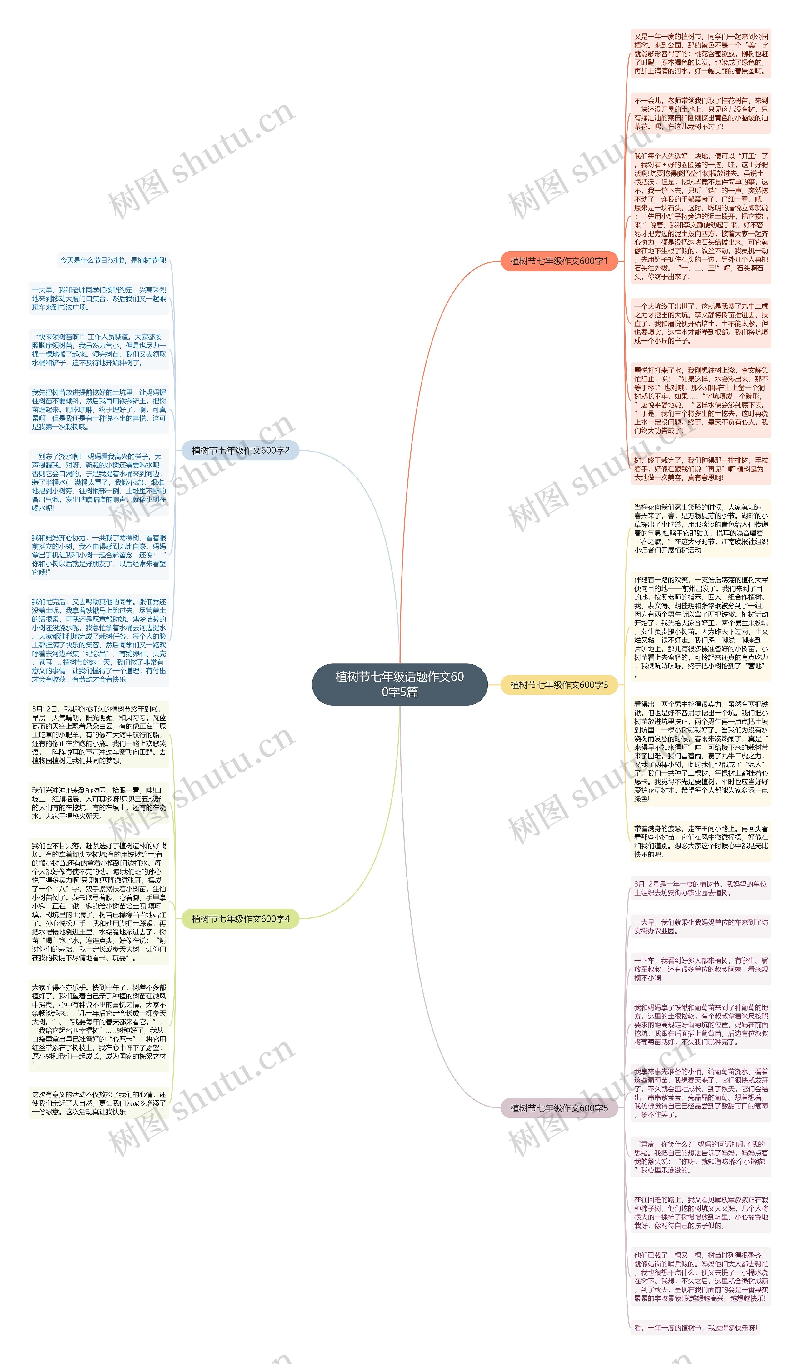 植树节七年级话题作文600字5篇思维导图