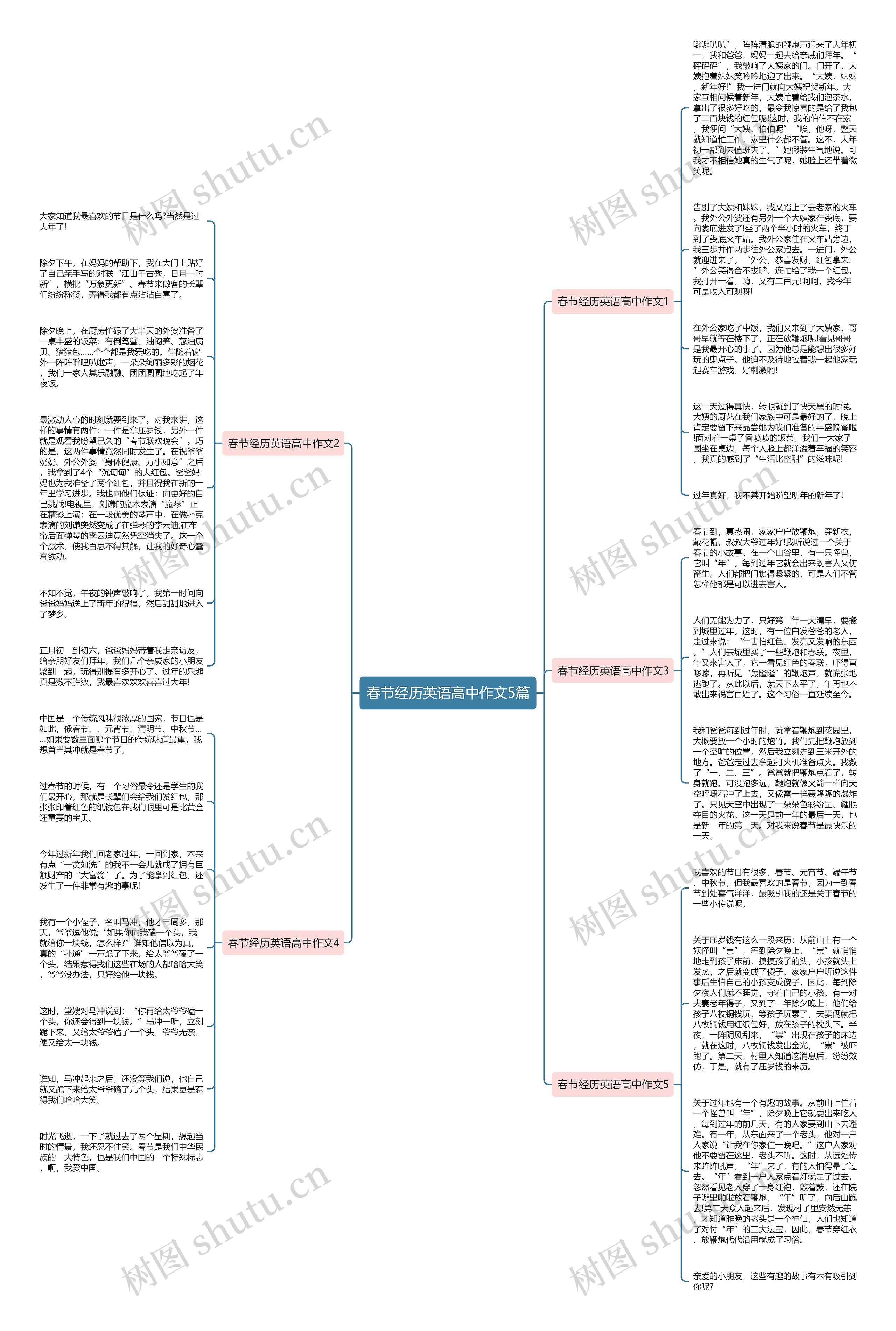 春节经历英语高中作文5篇思维导图