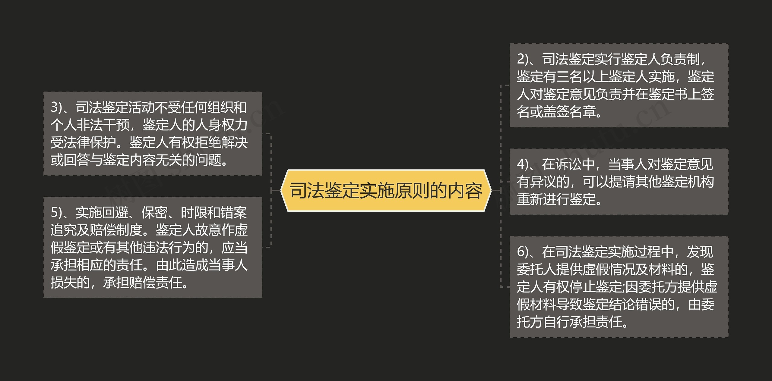 司法鉴定实施原则的内容