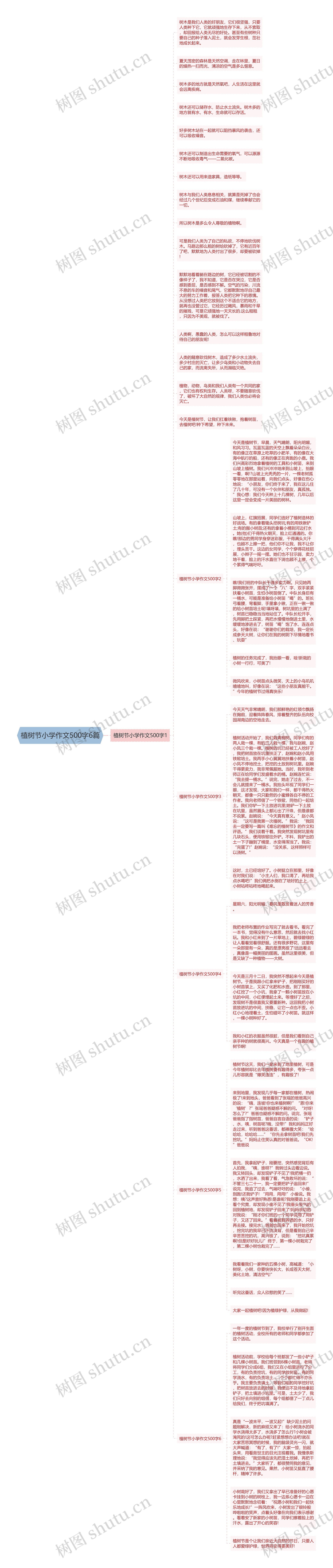 植树节小学作文500字6篇
