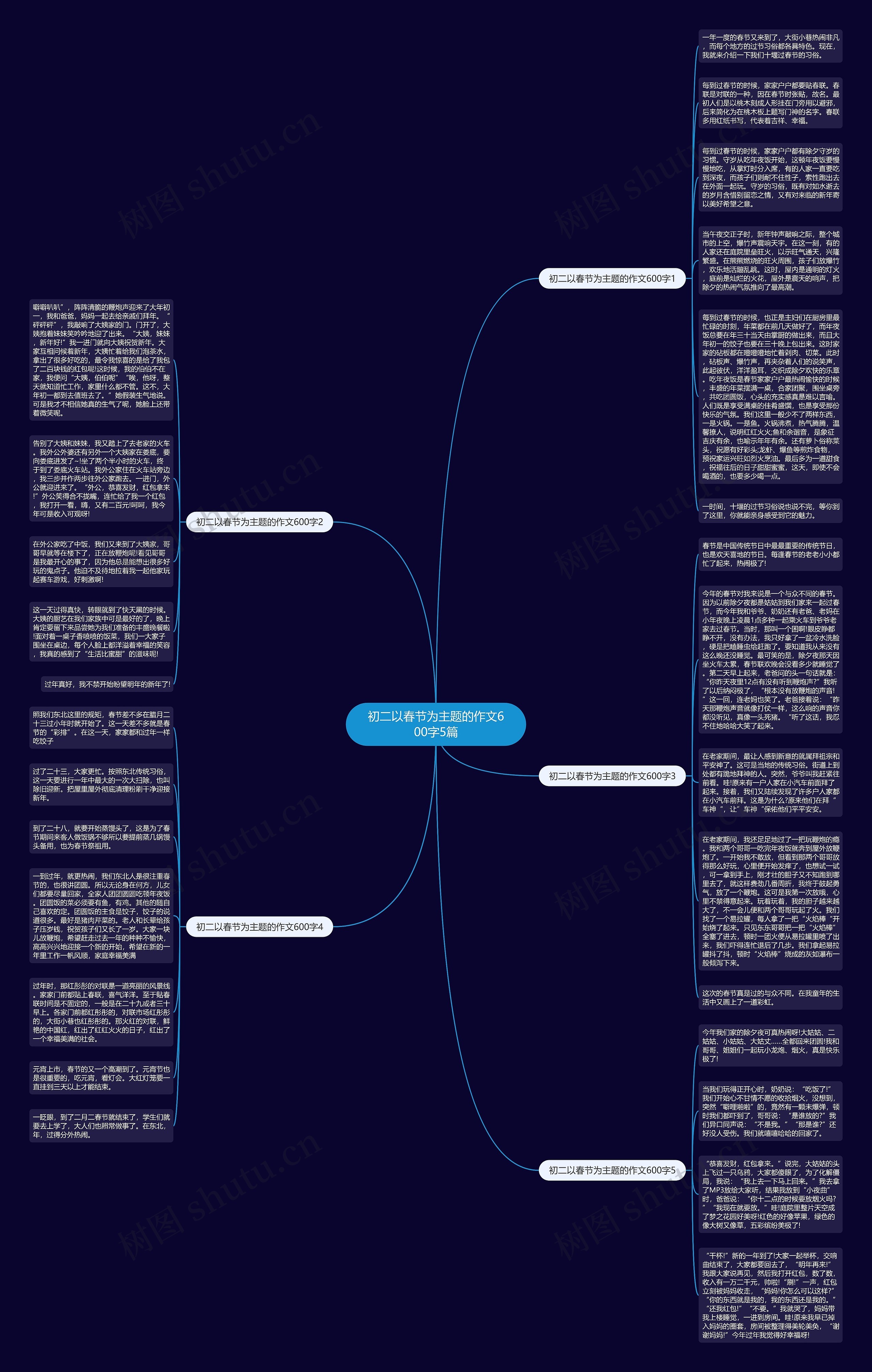 初二以春节为主题的作文600字5篇