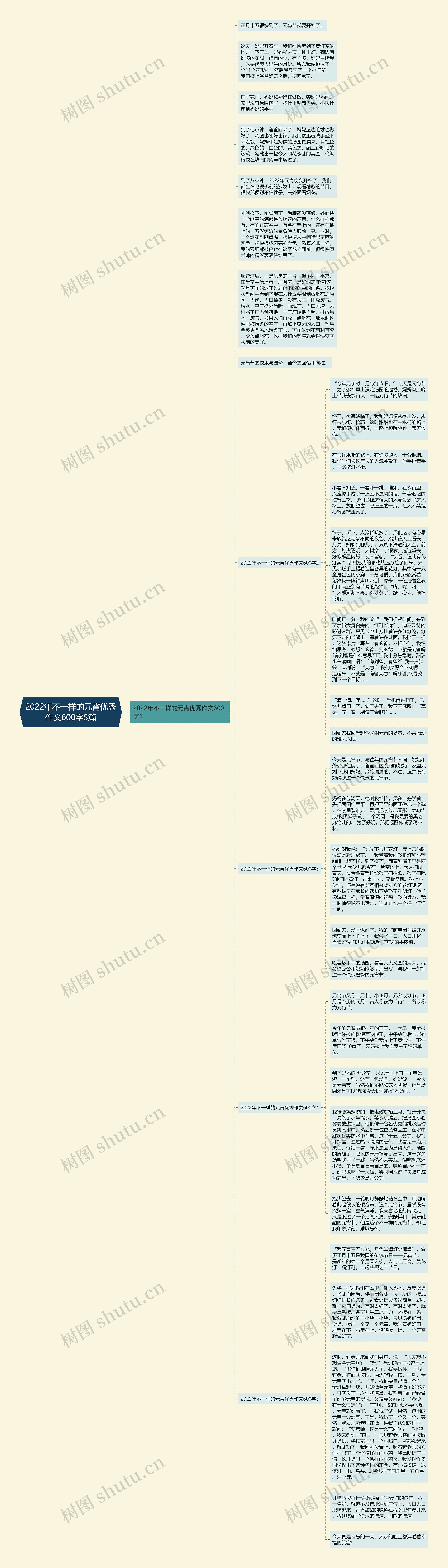 2022年不一样的元宵优秀作文600字5篇