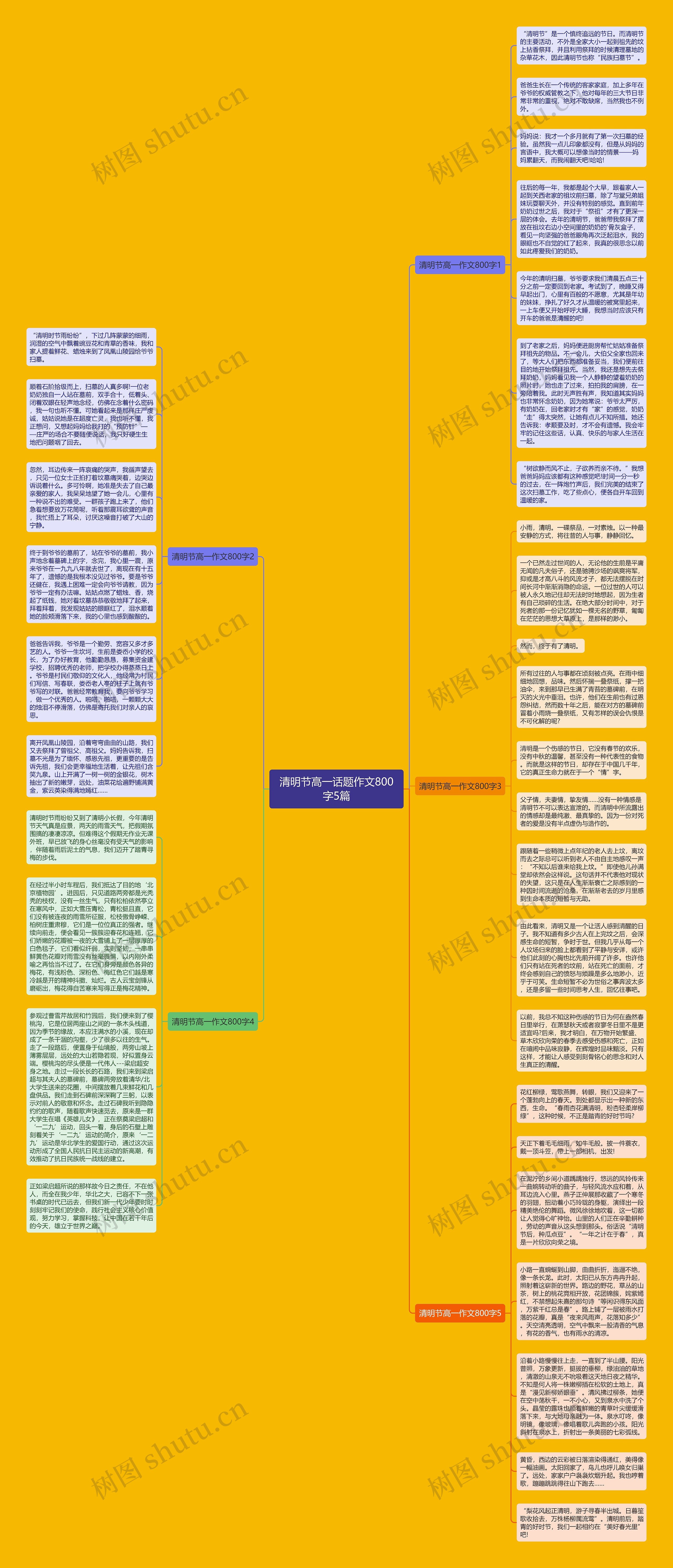 清明节高一话题作文800字5篇思维导图