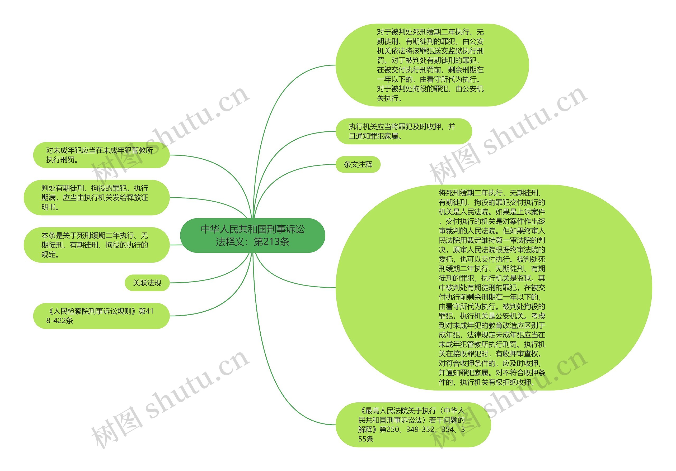 中华人民共和国刑事诉讼法释义：第213条思维导图