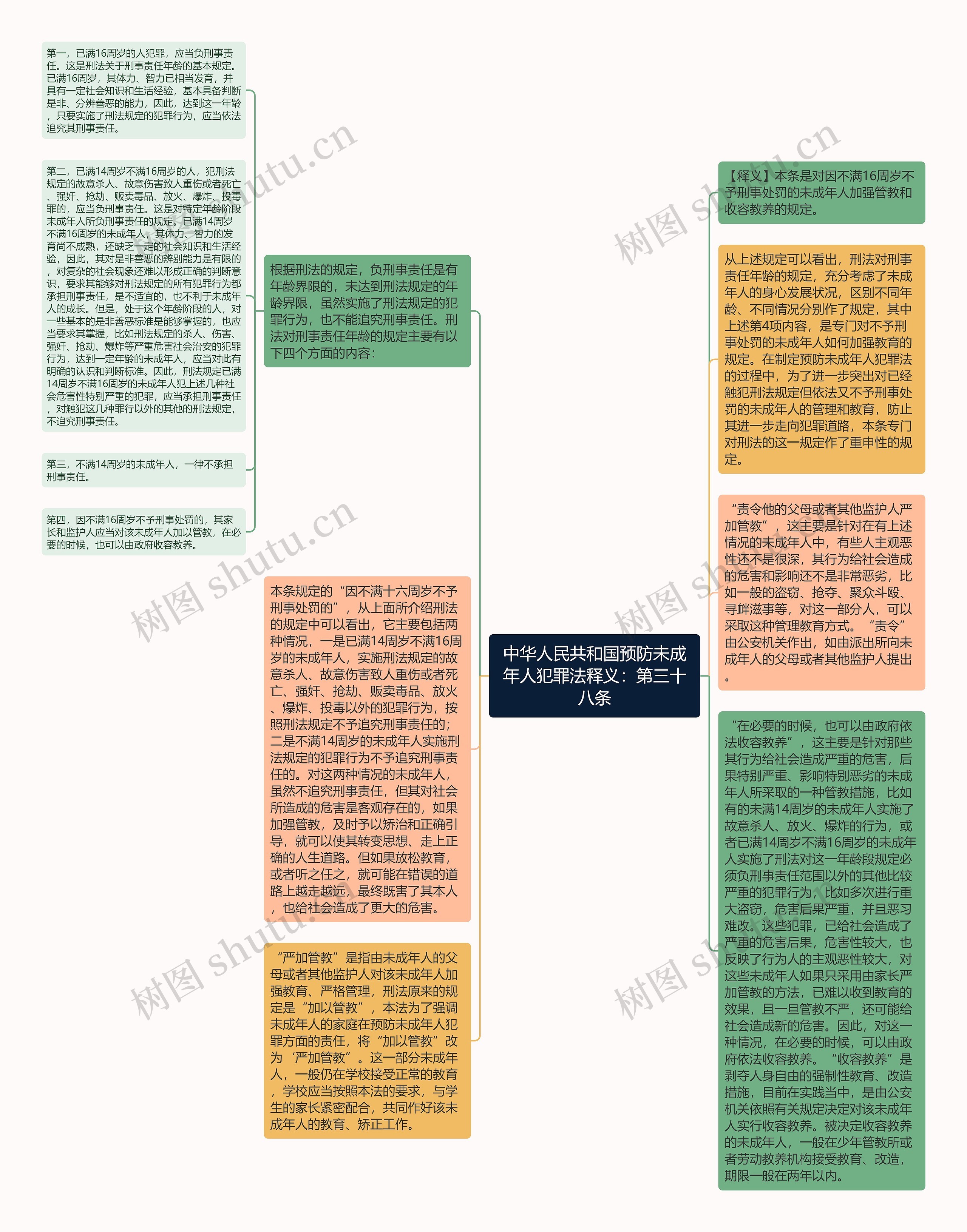 中华人民共和国预防未成年人犯罪法释义：第三十八条