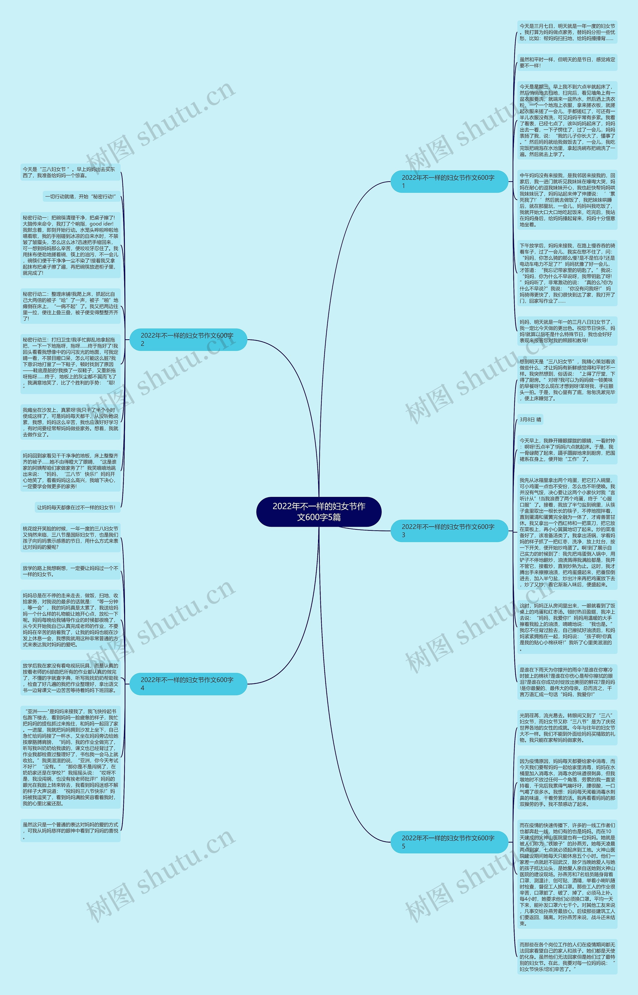 2022年不一样的妇女节作文600字5篇思维导图