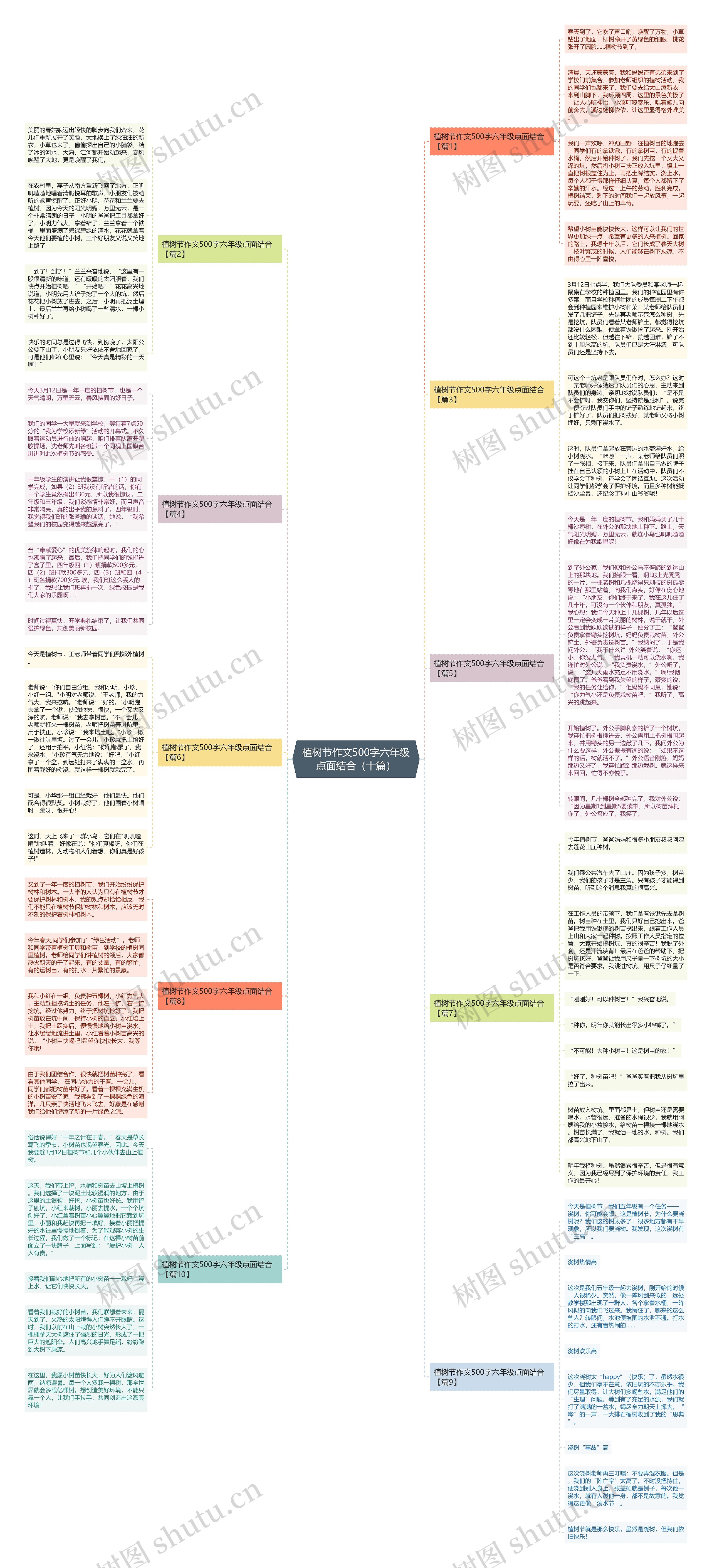 植树节作文500字六年级点面结合（十篇）思维导图