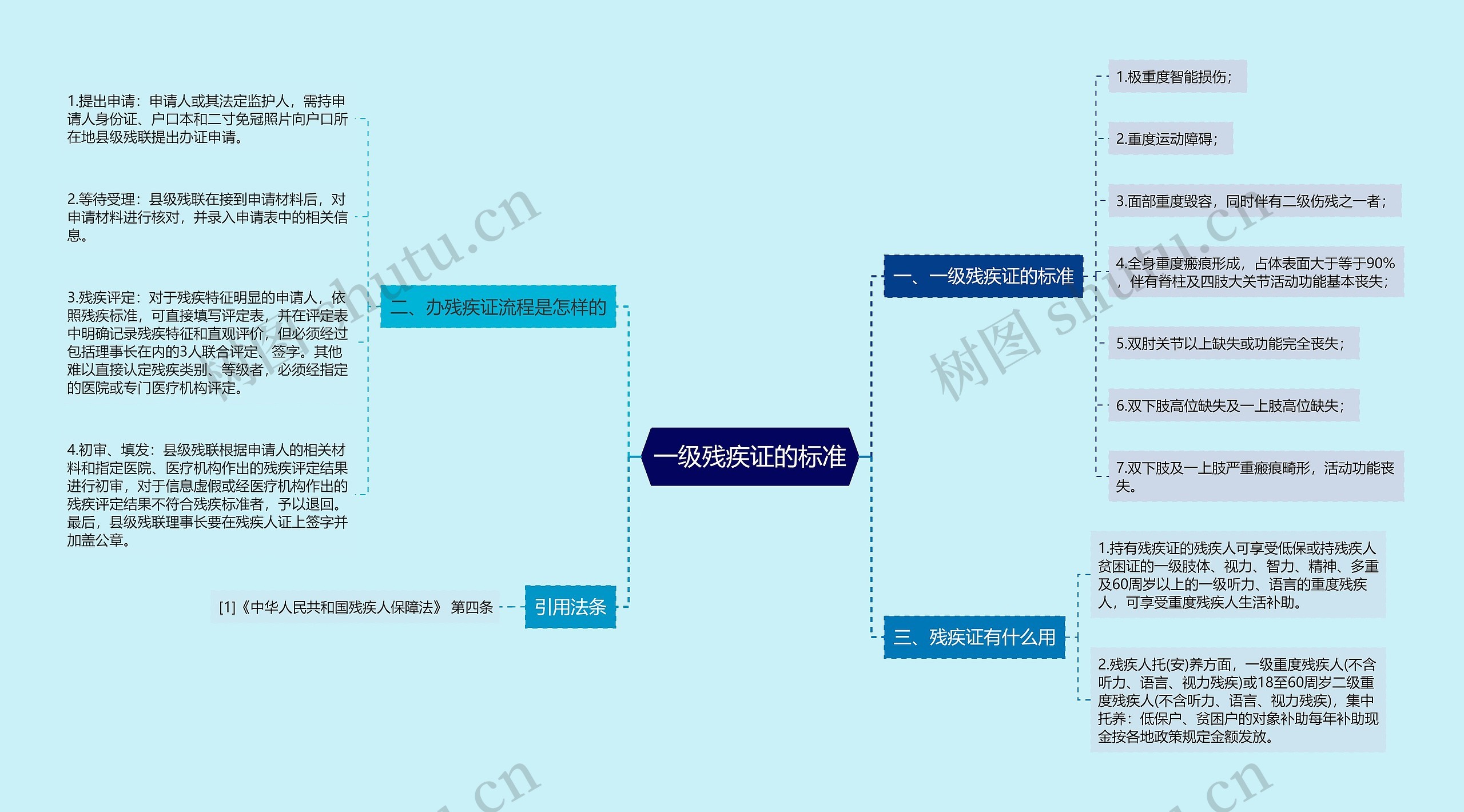 一级残疾证的标准思维导图