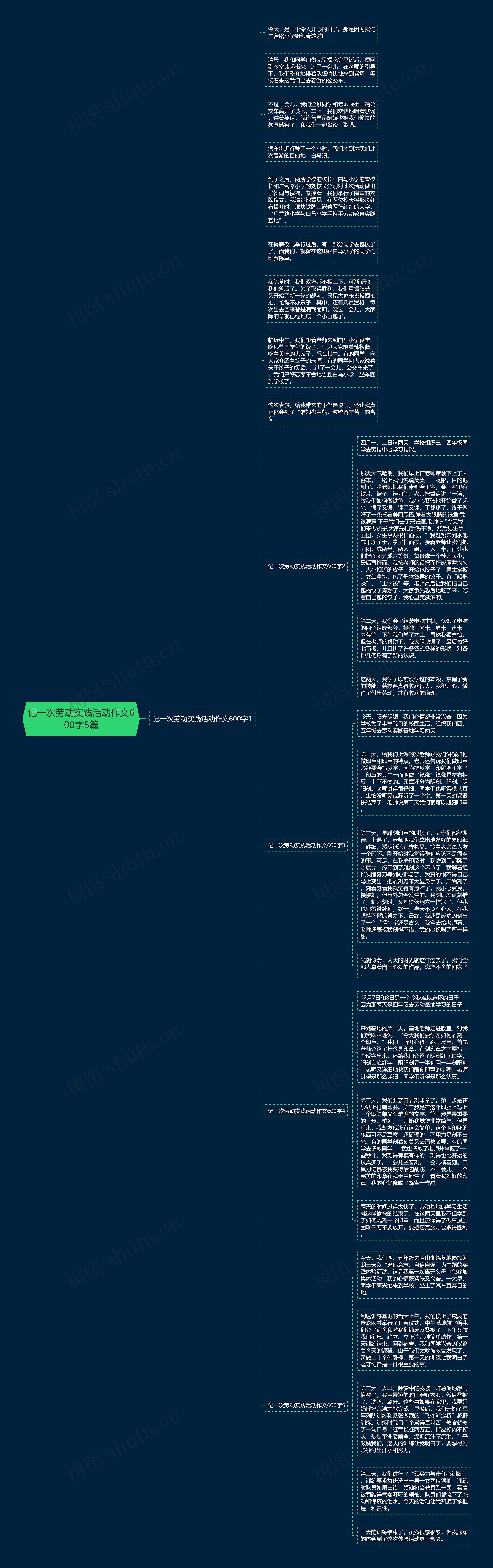 记一次劳动实践活动作文600字5篇思维导图