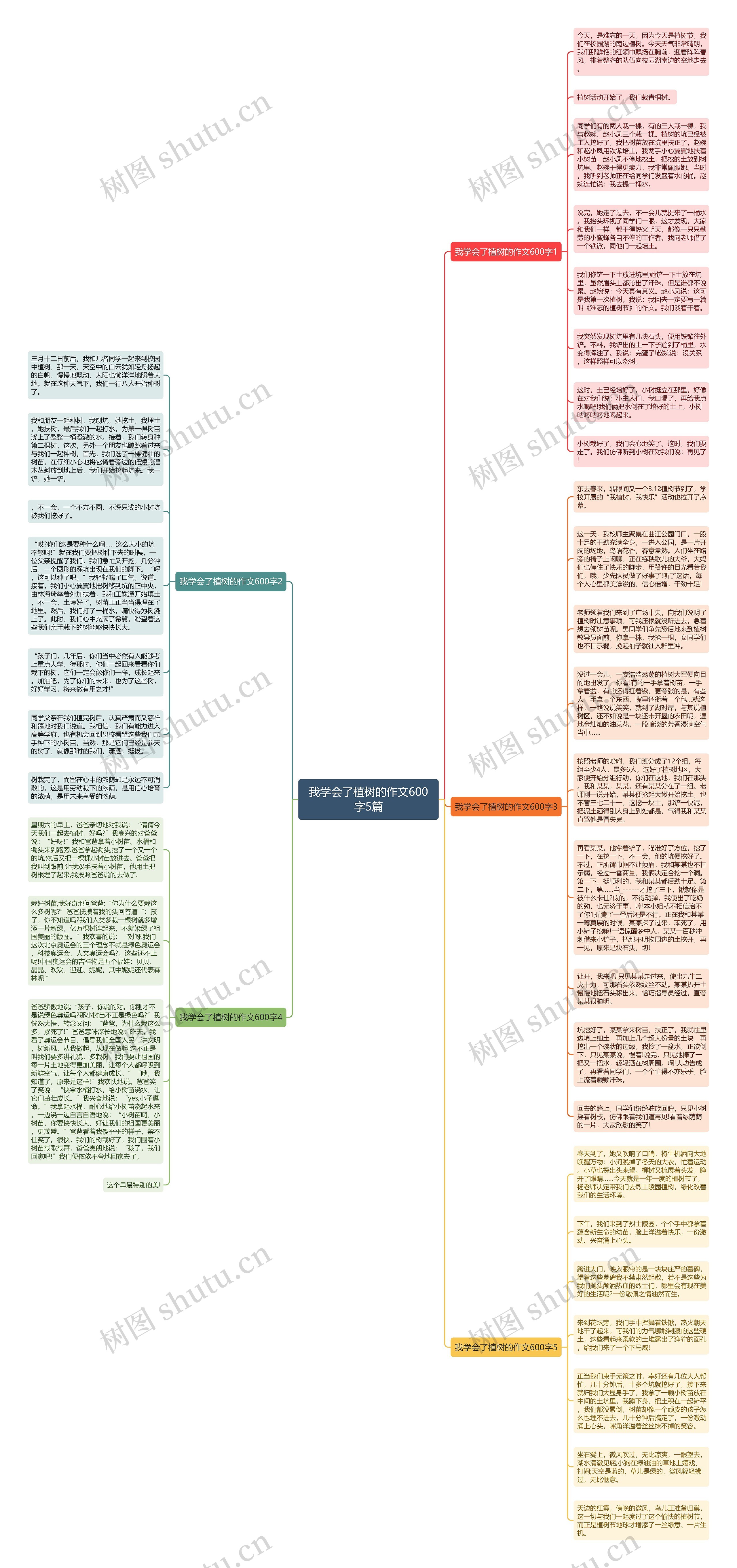 我学会了植树的作文600字5篇思维导图