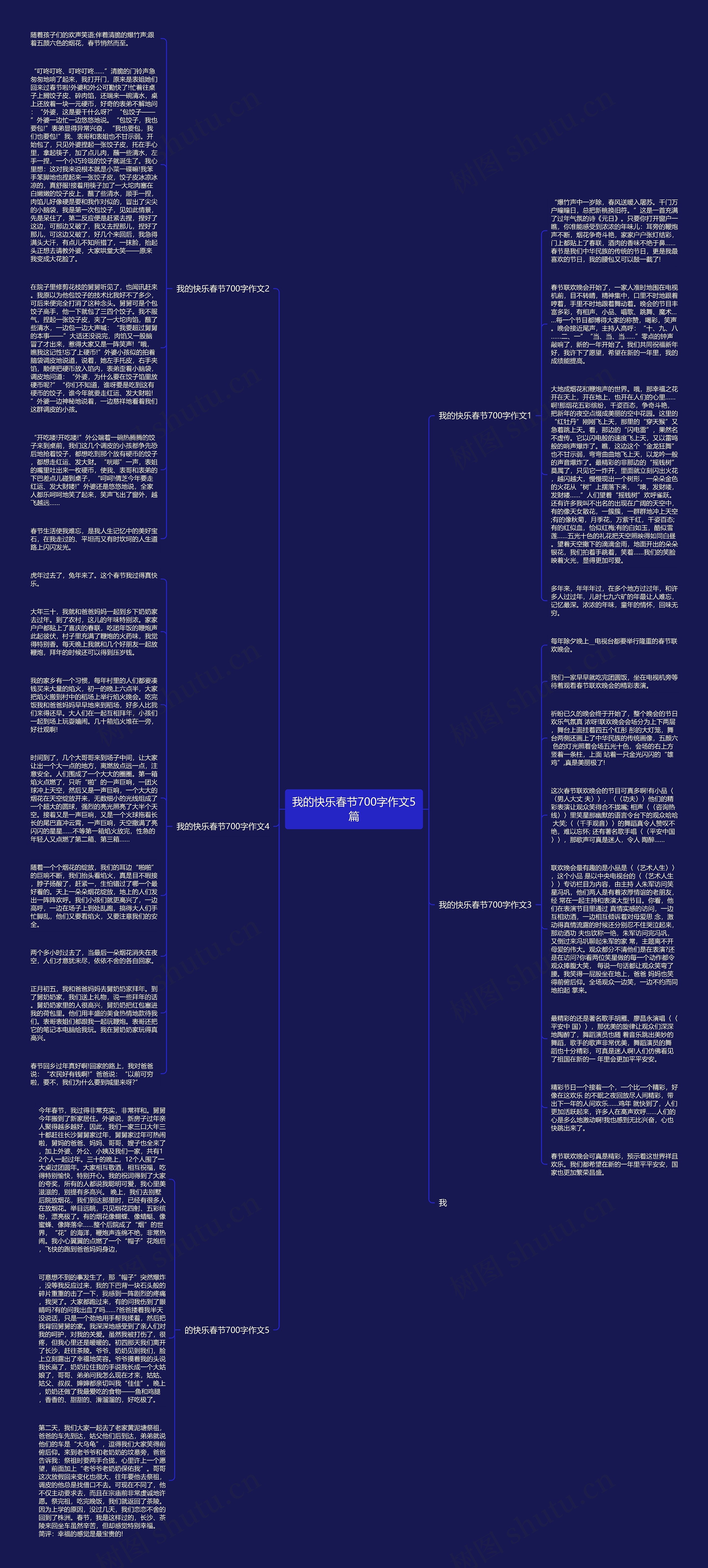 我的快乐春节700字作文5篇思维导图
