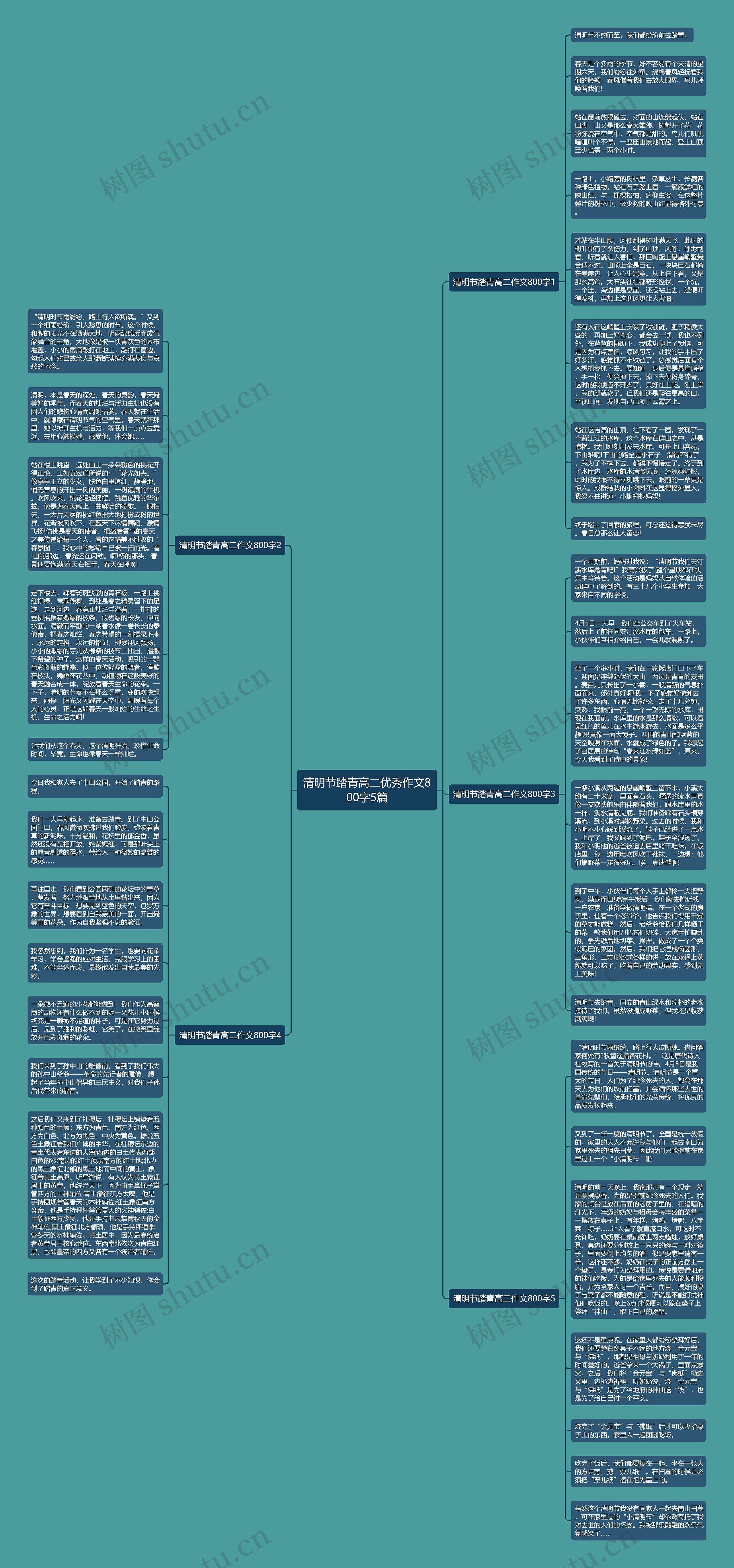 清明节踏青高二优秀作文800字5篇思维导图