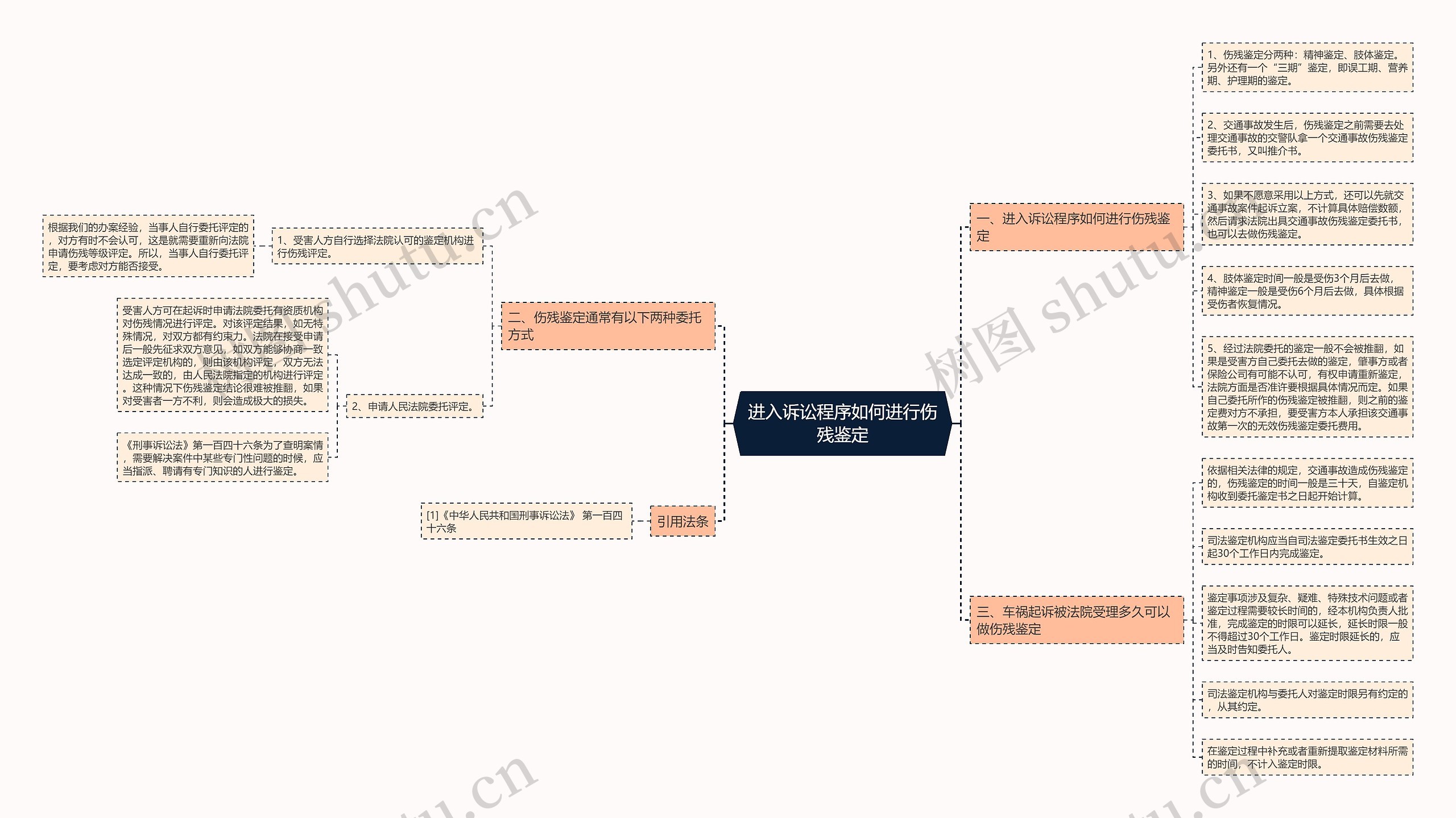 进入诉讼程序如何进行伤残鉴定思维导图