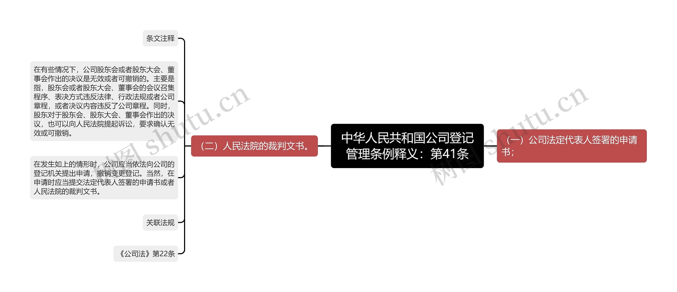 中华人民共和国公司登记管理条例释义：第41条