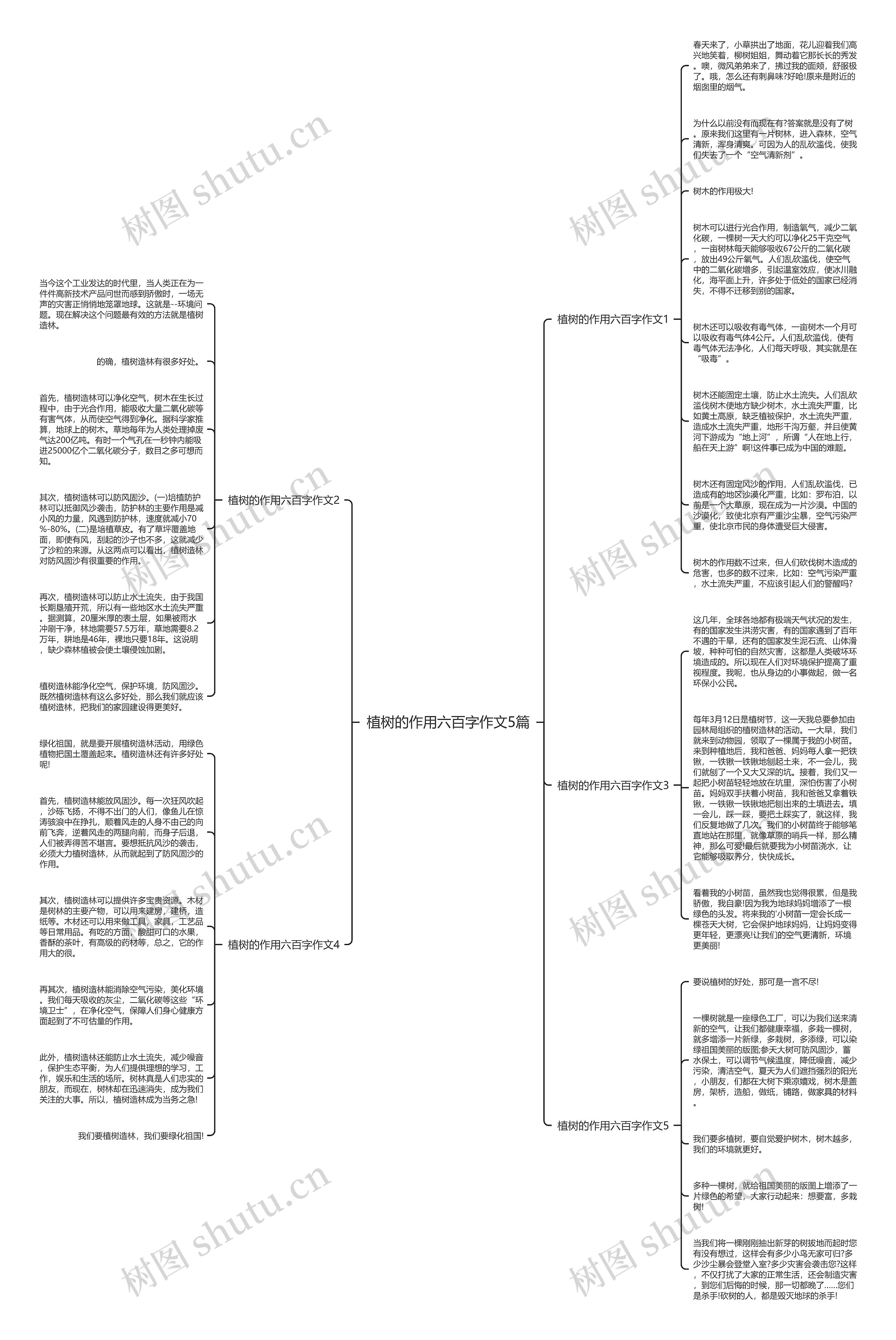 植树的作用六百字作文5篇思维导图