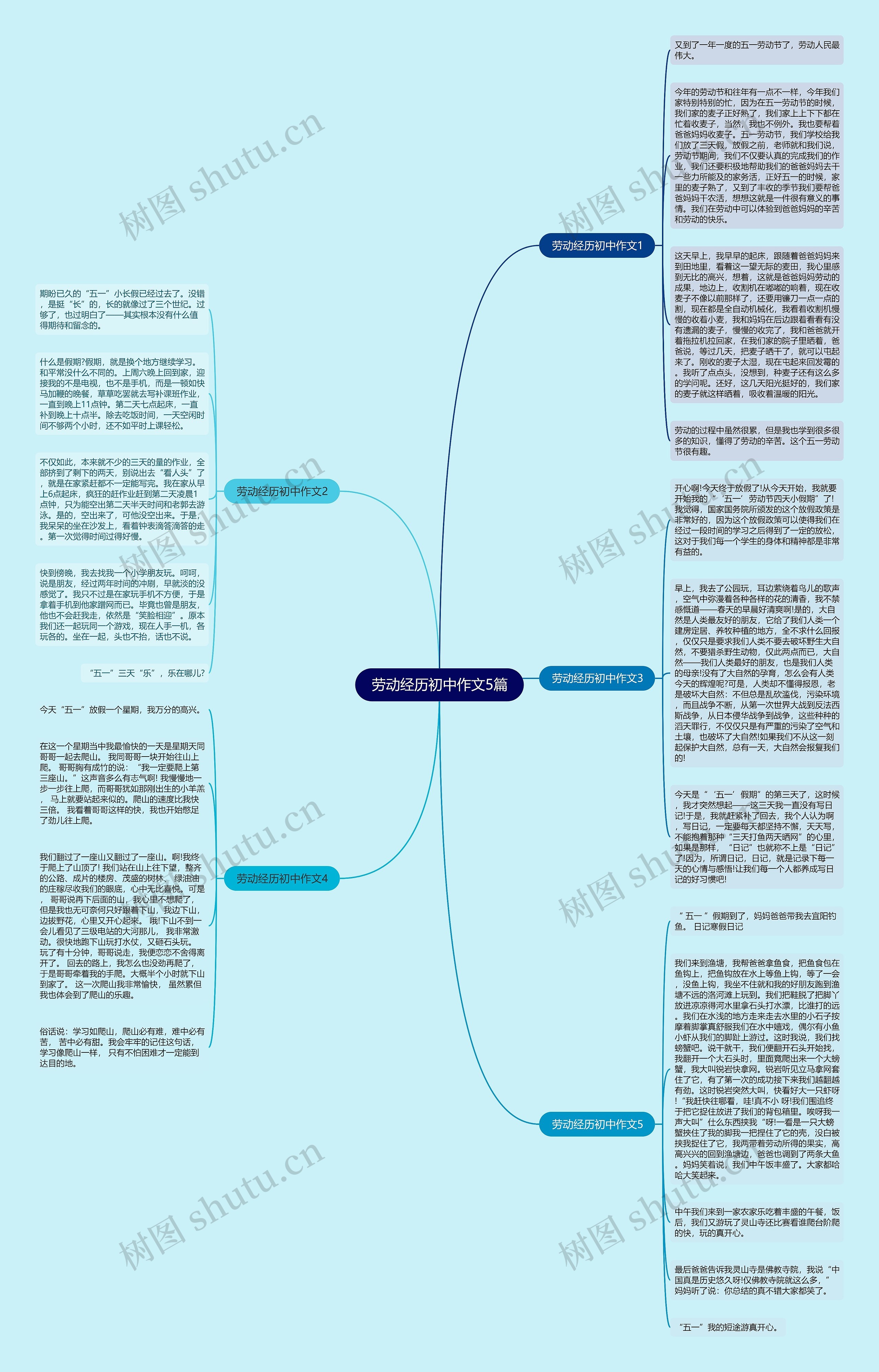 劳动经历初中作文5篇思维导图