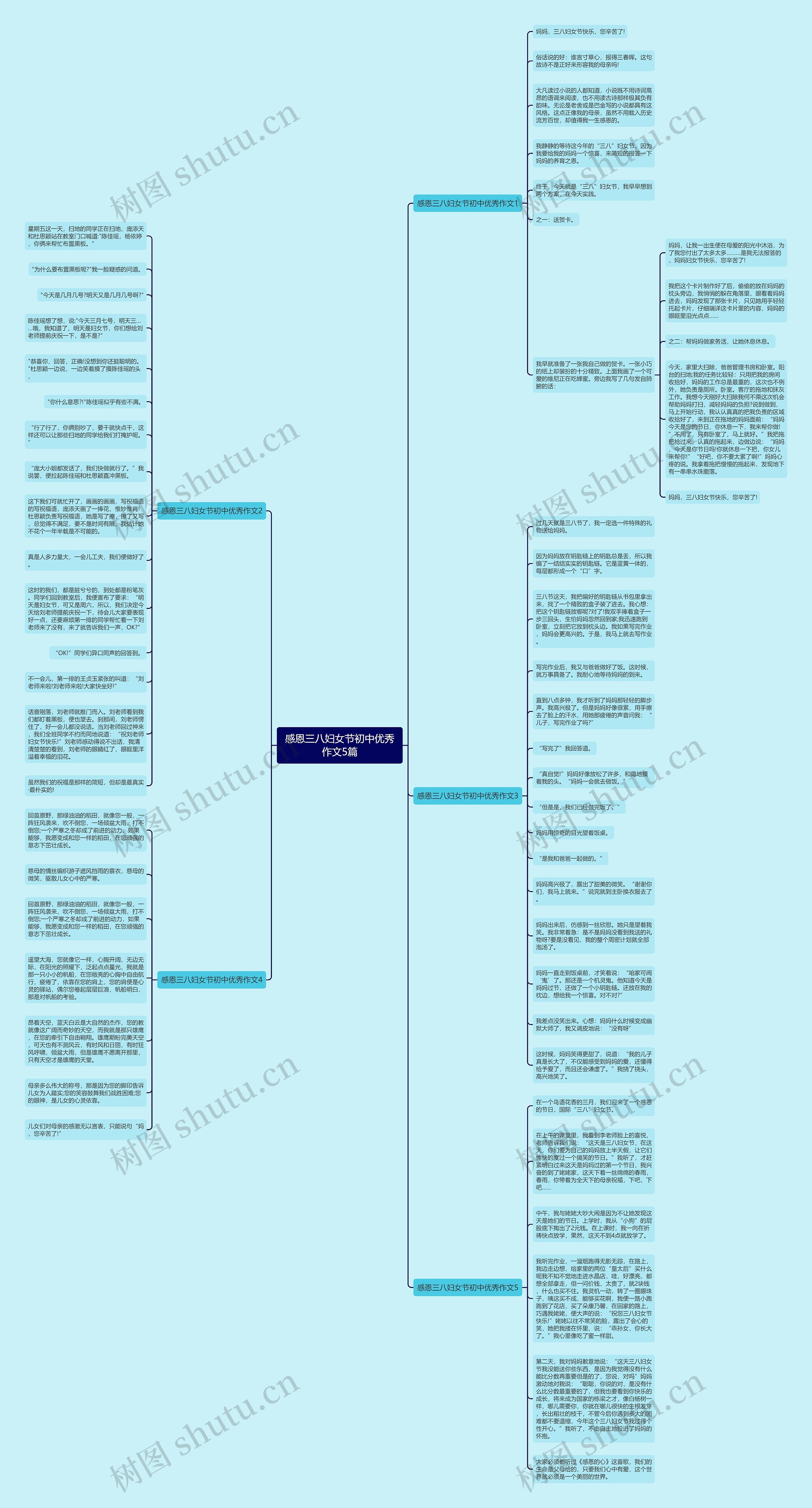 感恩三八妇女节初中优秀作文5篇思维导图